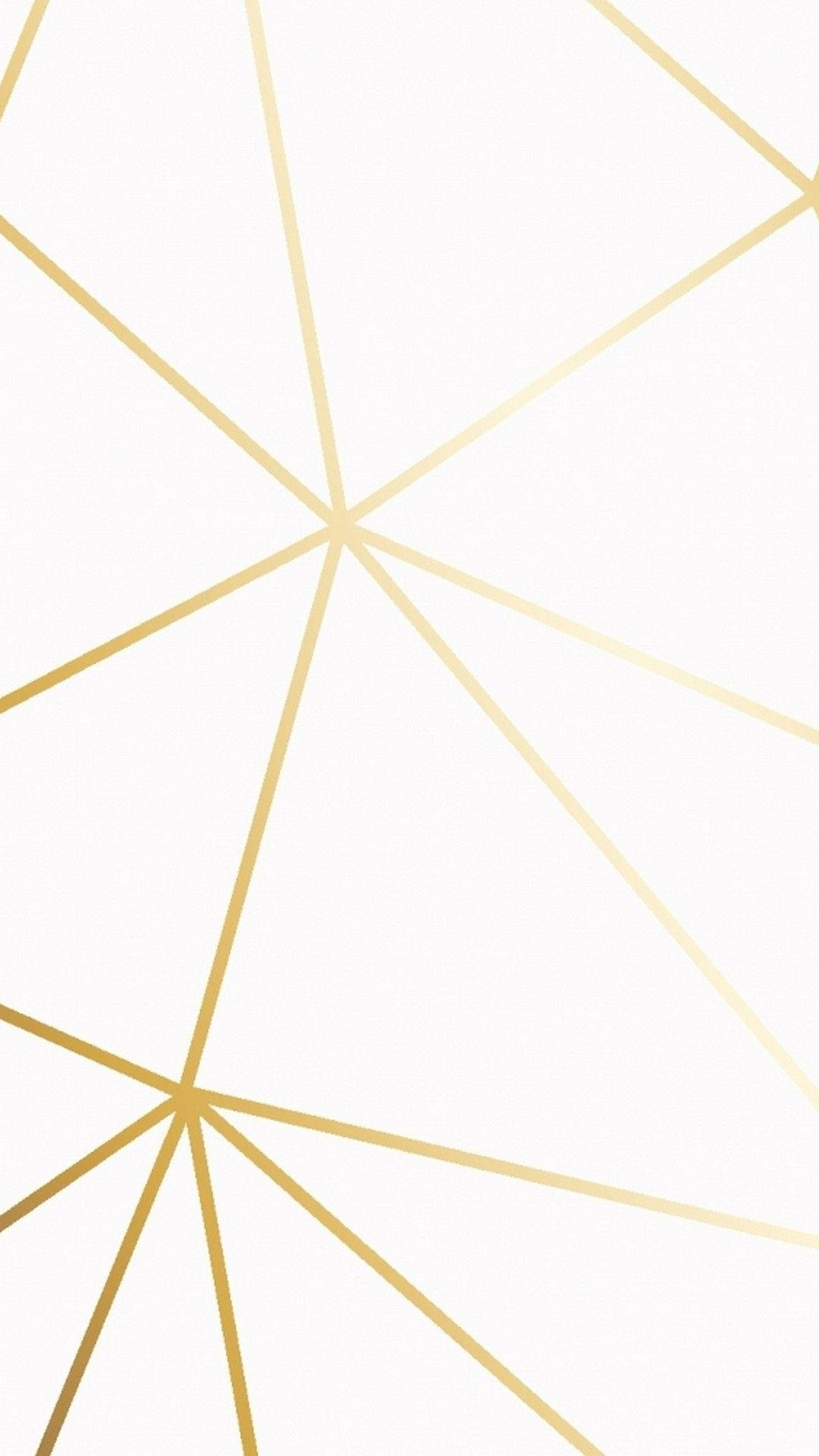 White And Gold Lined Tiles Background