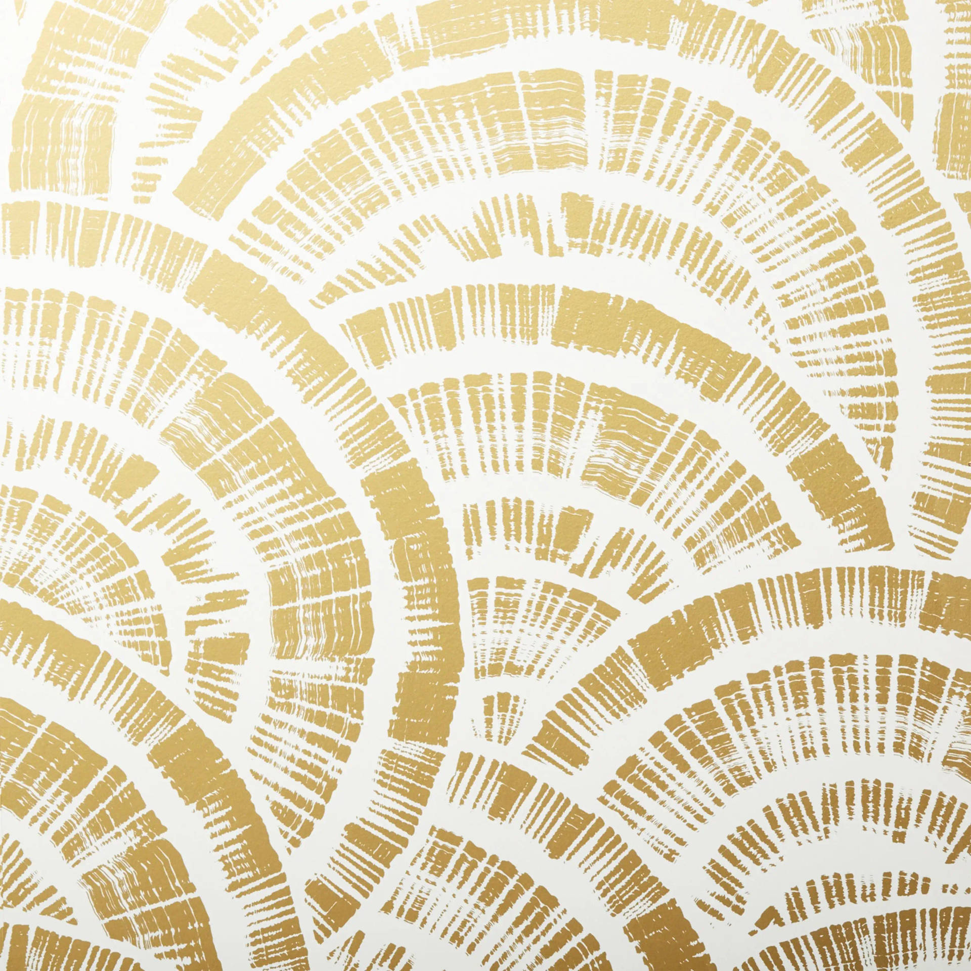 White And Gold Shell Print Background