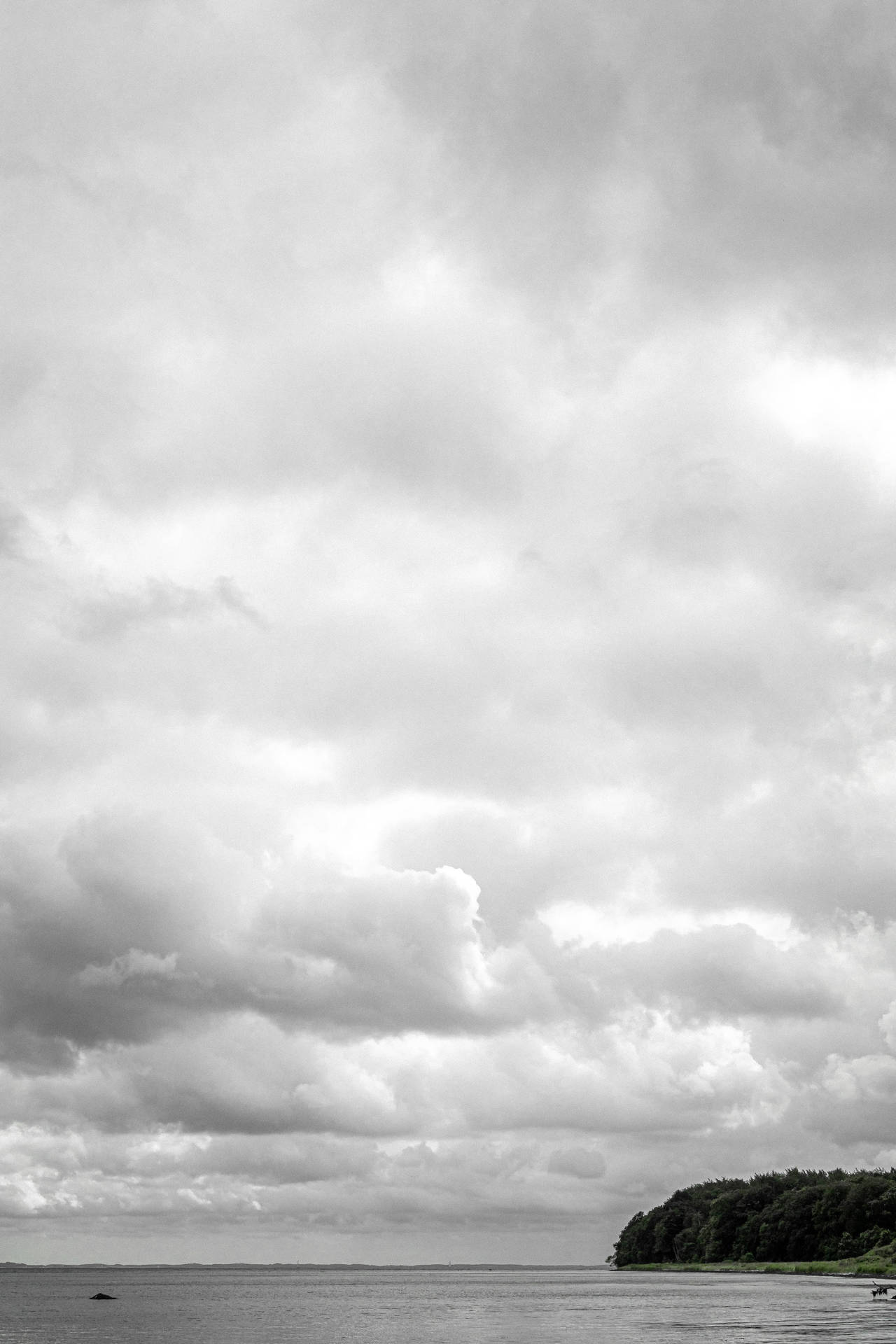 White And Gray Cloudy Sky Background