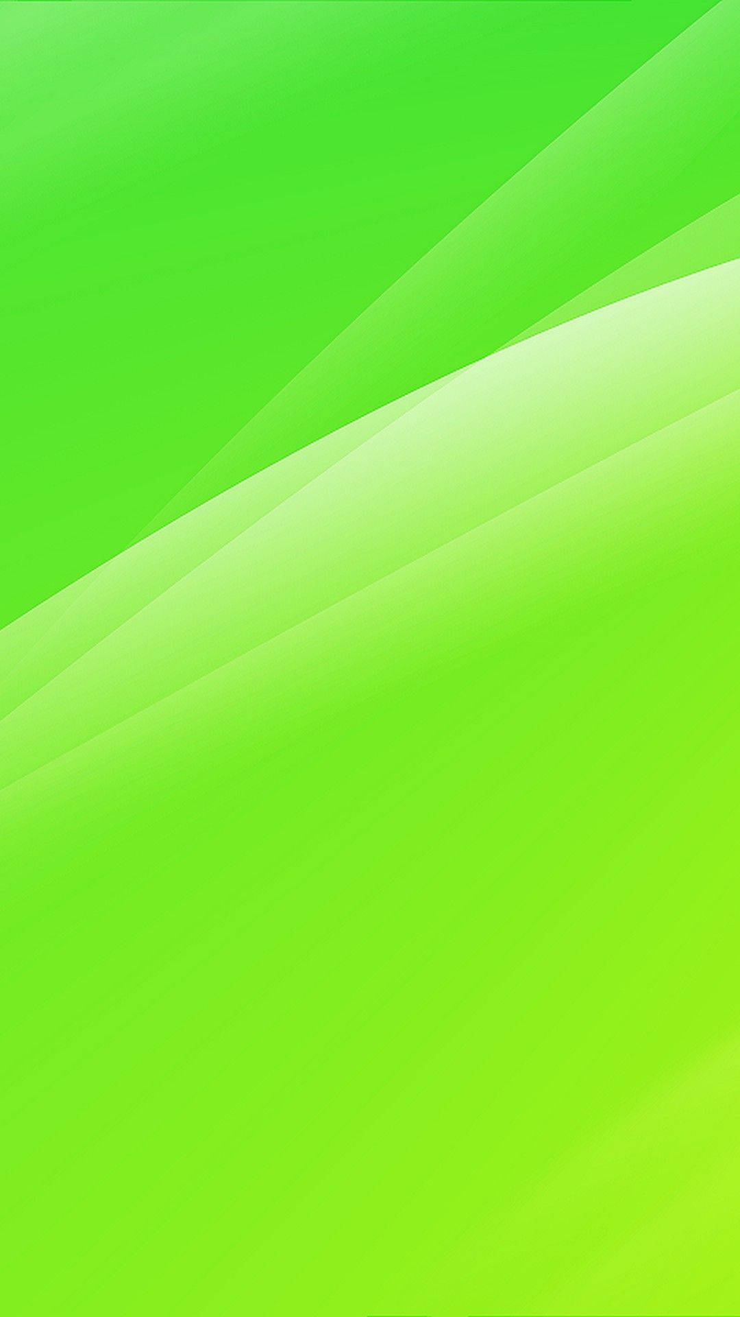 White And Light Green Phone Background