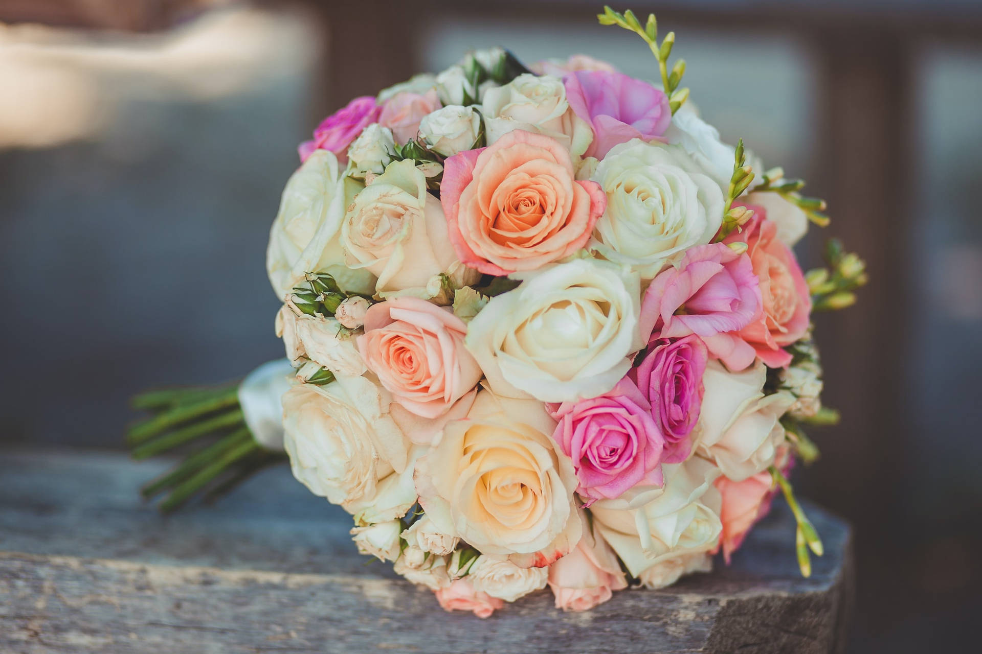 White And Pink Roses Flower Bouquet Background