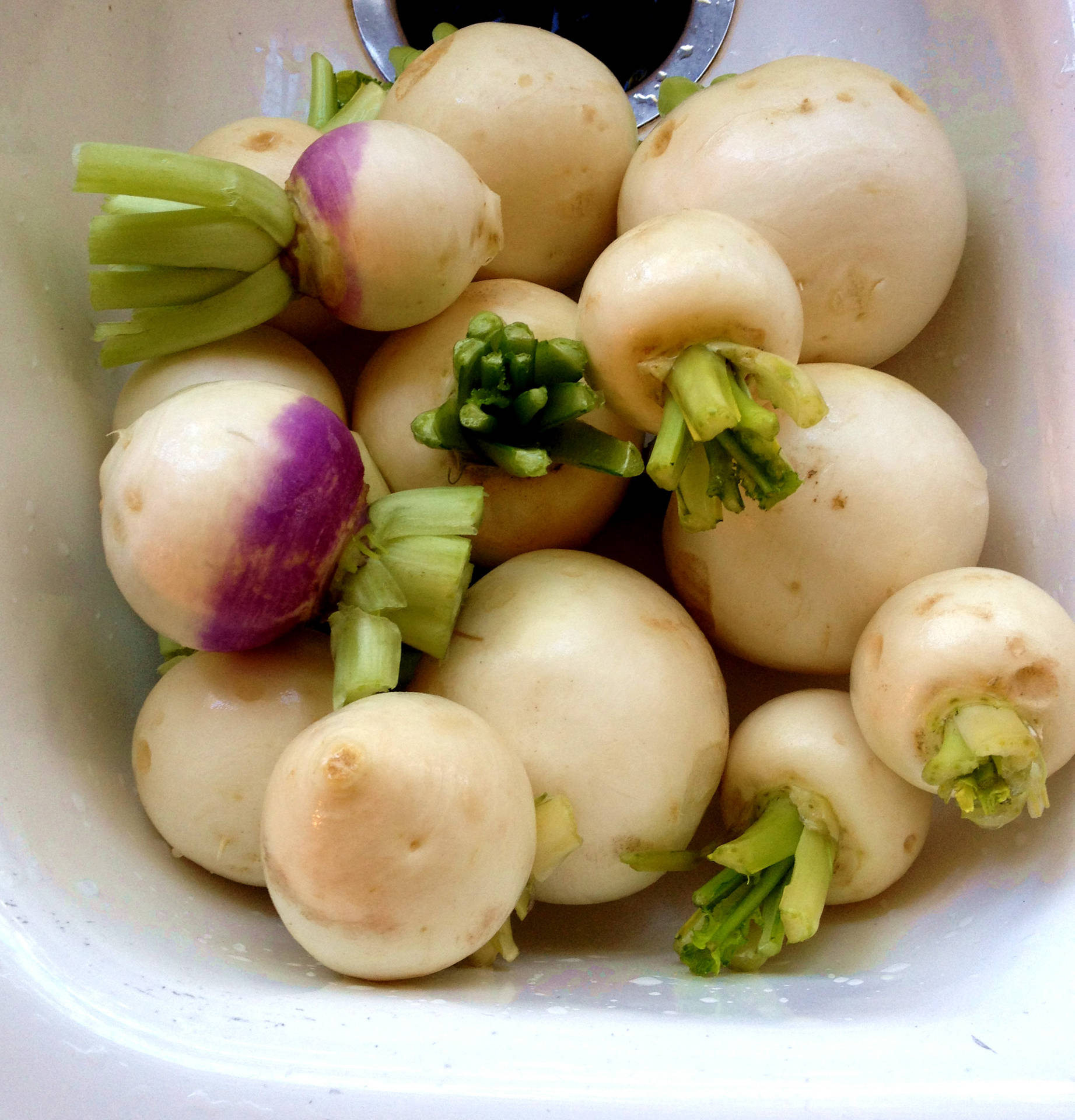 White Baby Turnips In Sink Background