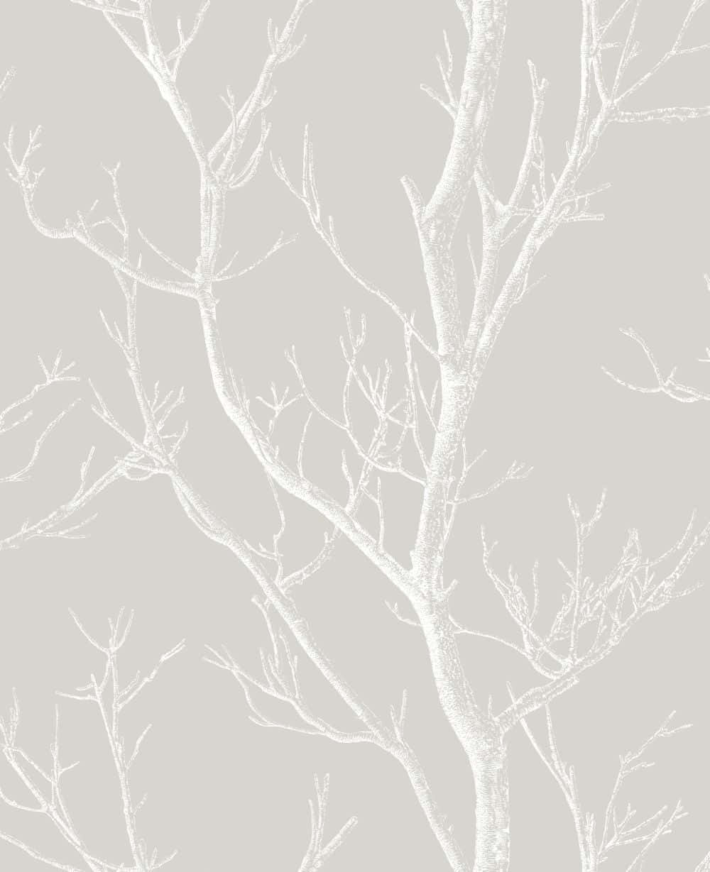 White Bare Tree Branches Digital Illustration Background