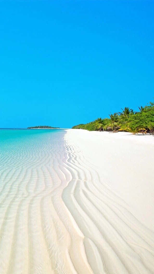 White Beach Sand Background