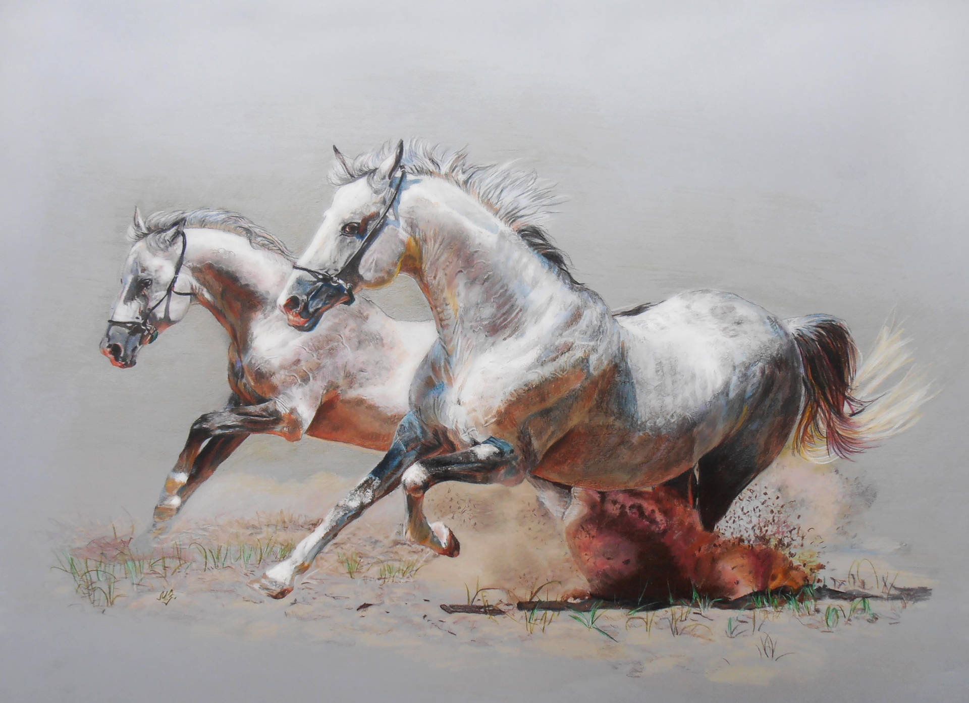 White Beautiful Horses In A Painting Background