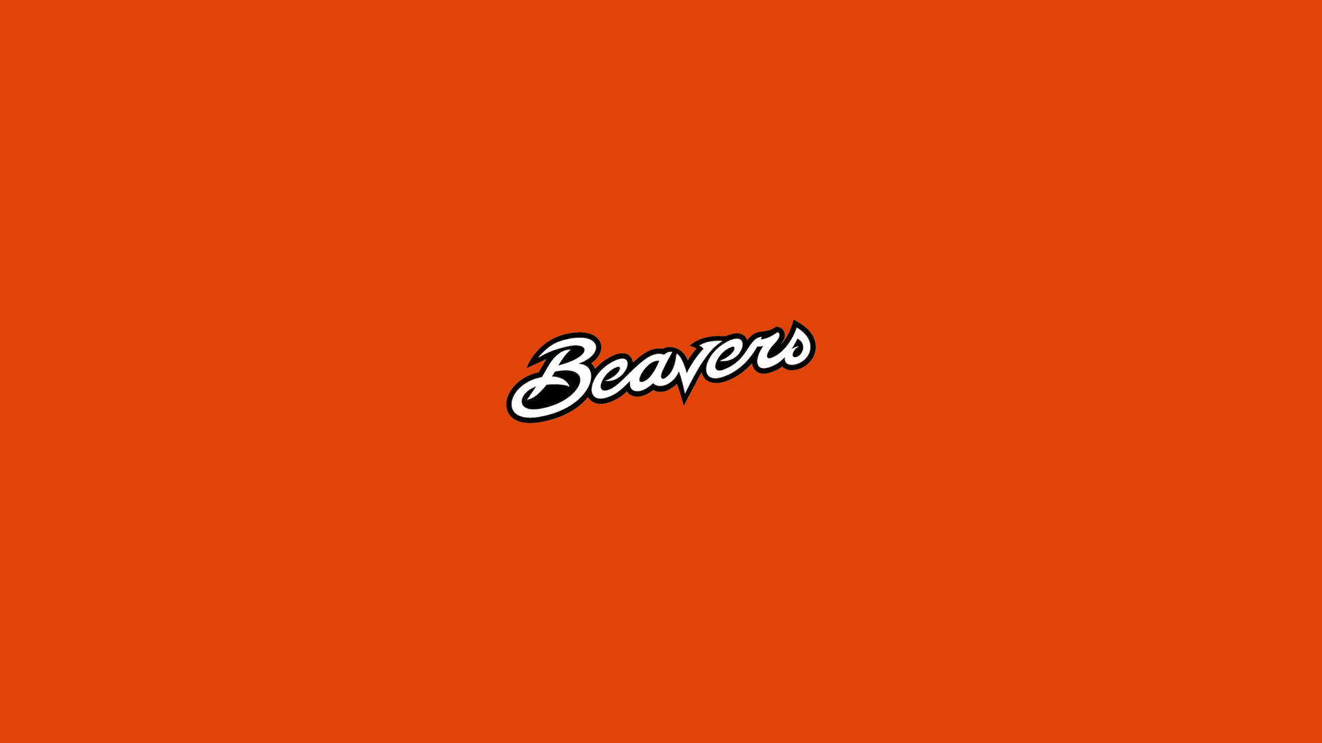 White Beavers Oregon State University Orange Background