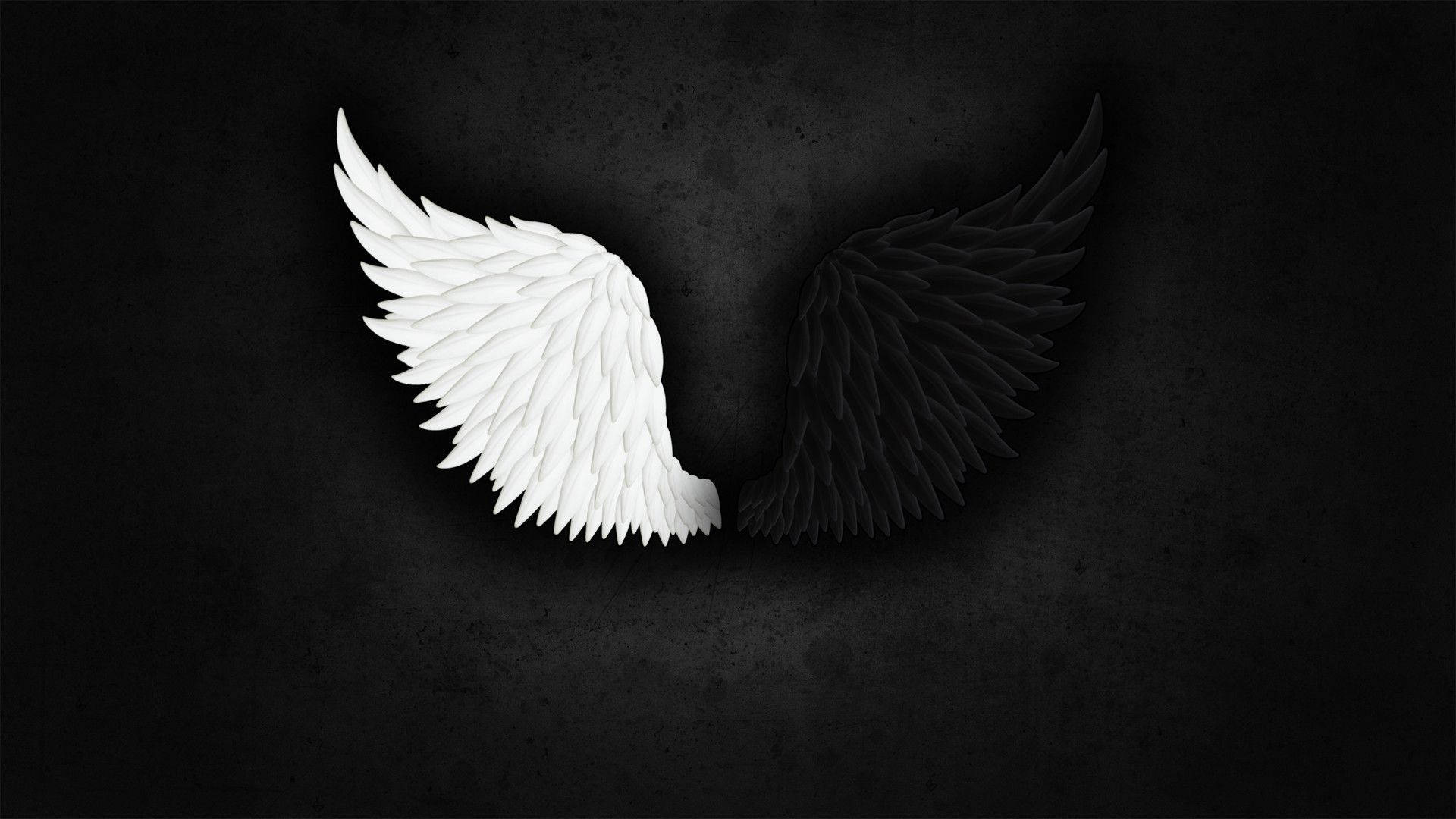 White Black Angel Wings Background