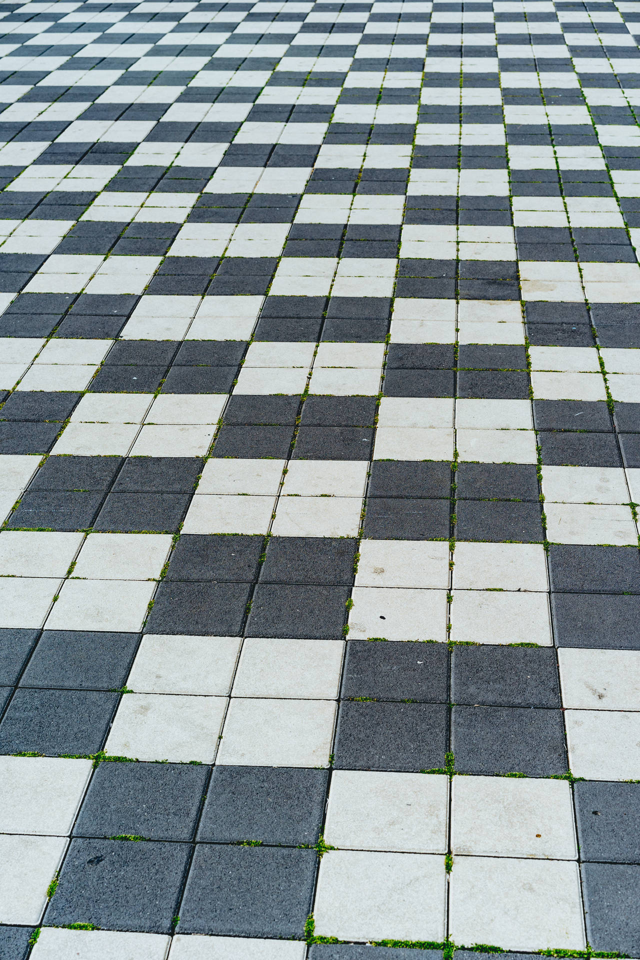 White Black Checkered Tile Floor