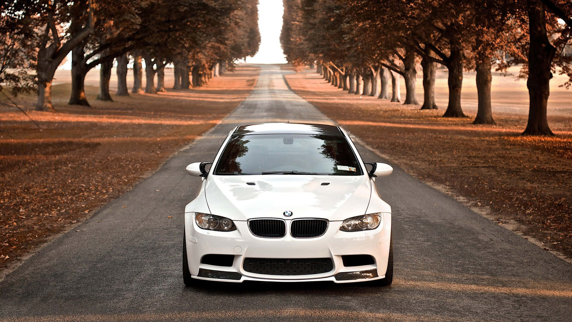 White Bmw Car On The Road Background