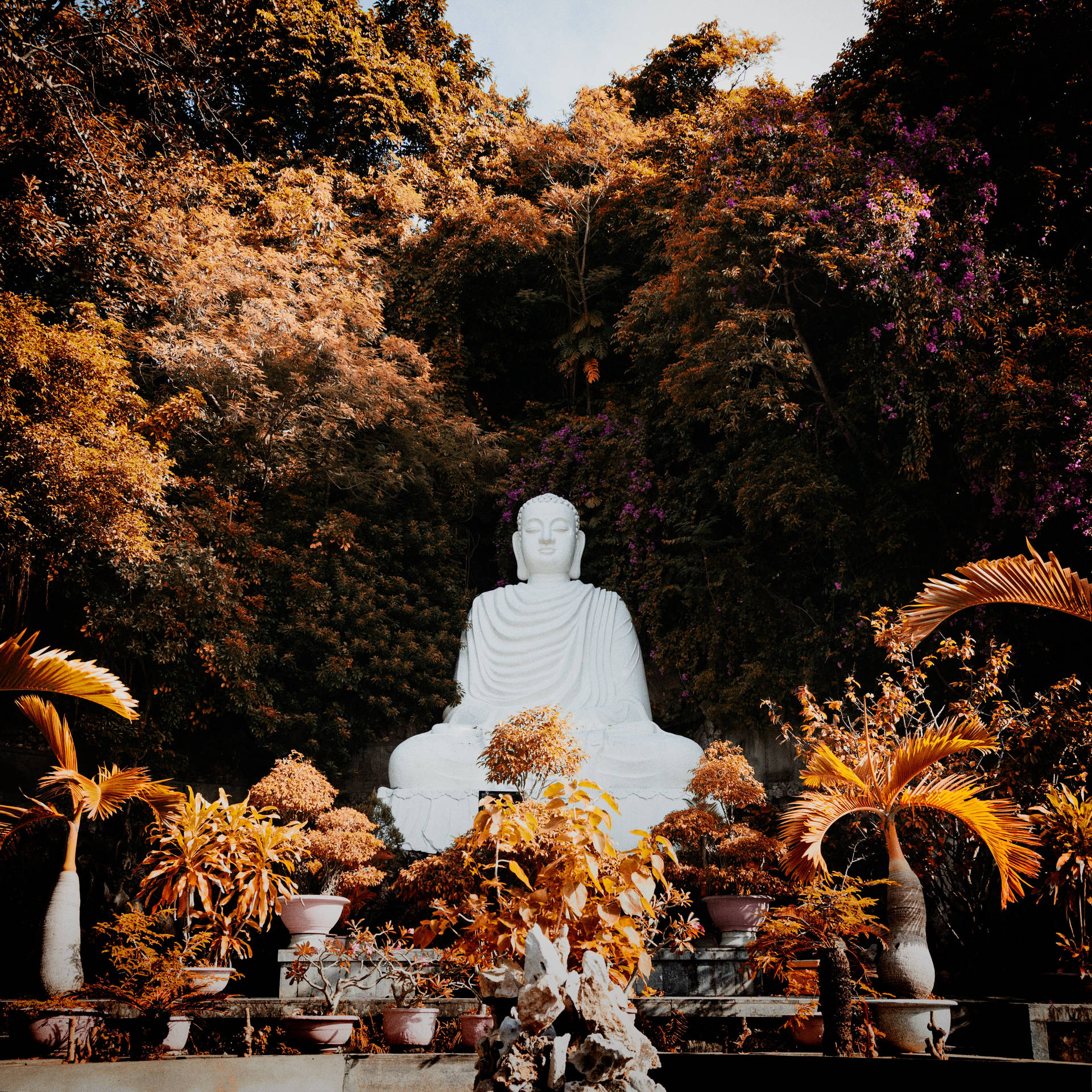 White Buddha Statue Plants Background