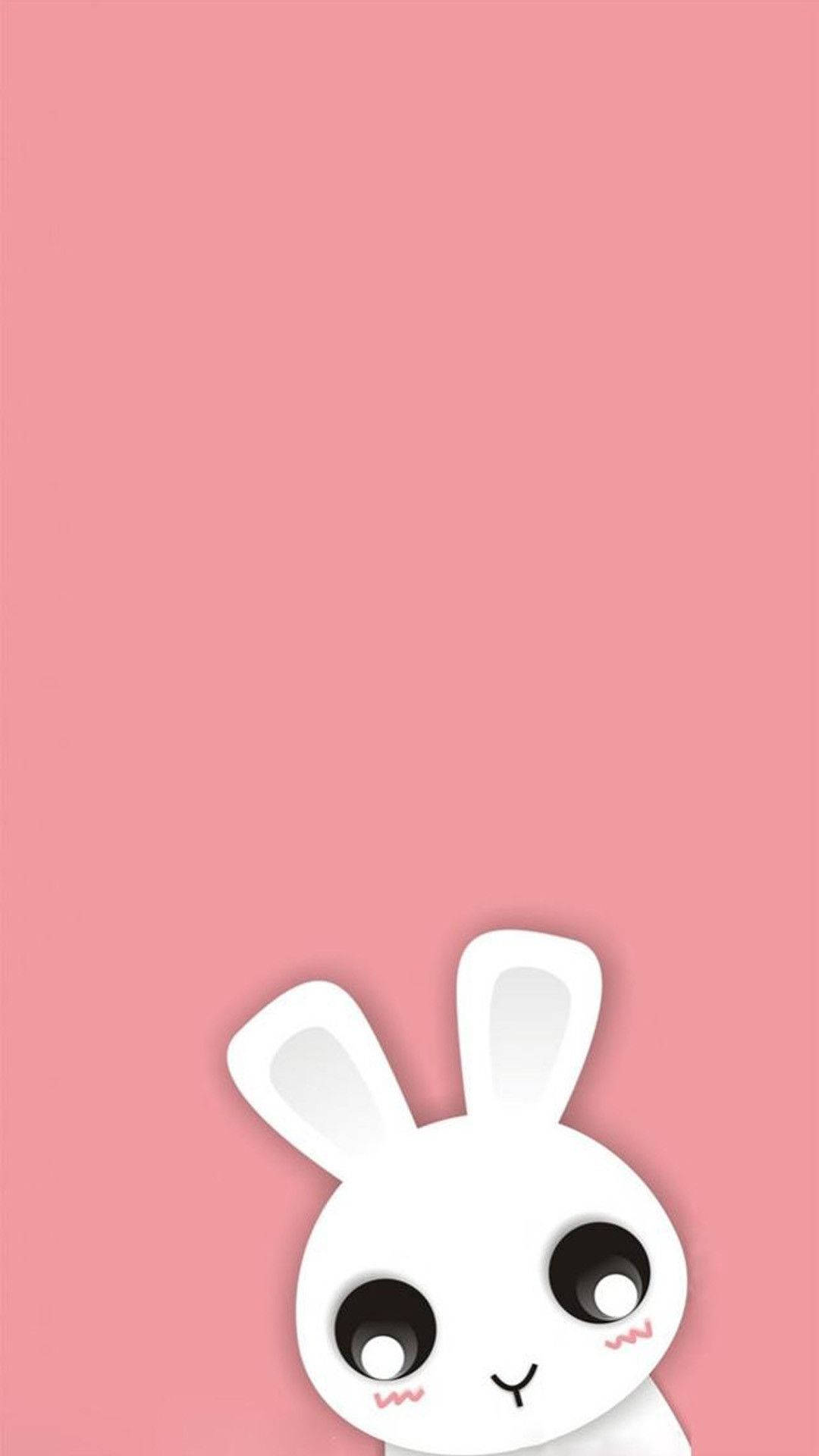 White Bunny Cute Iphone Lock Screen Background