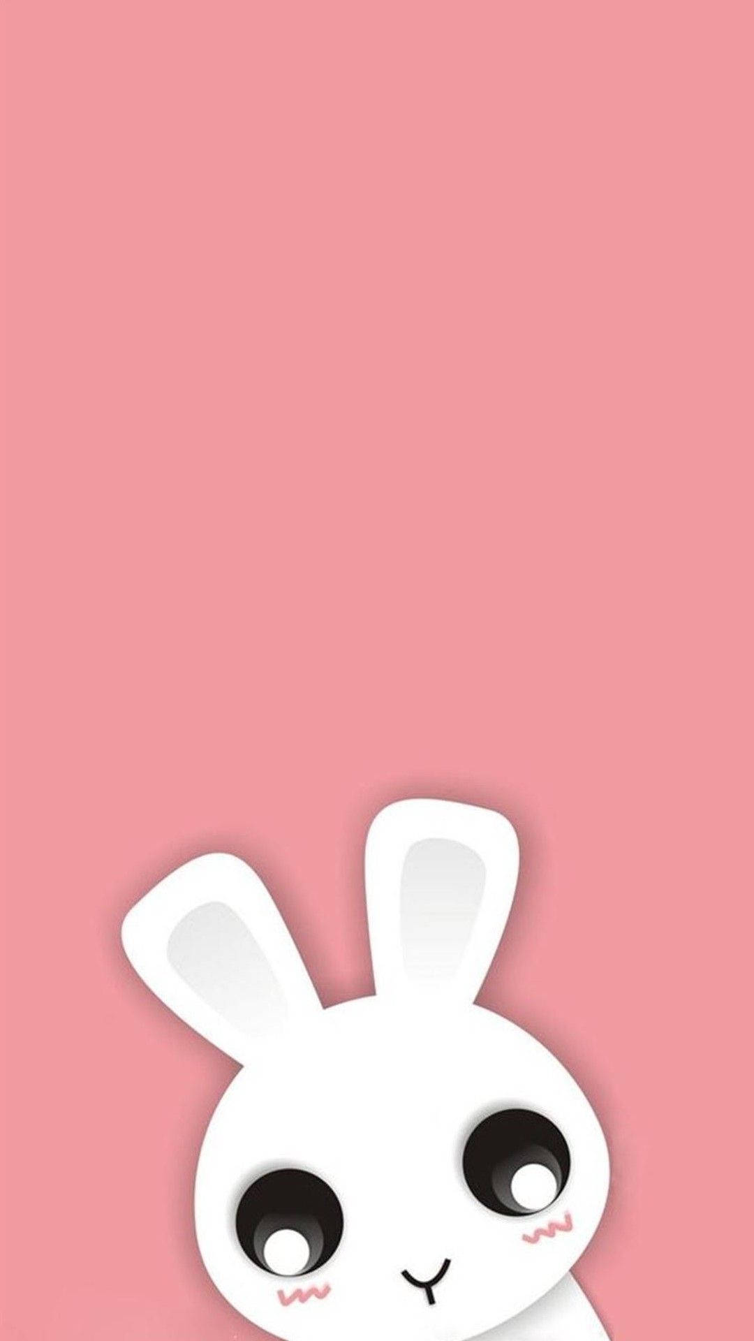 White Bunny Pretty Phone Background