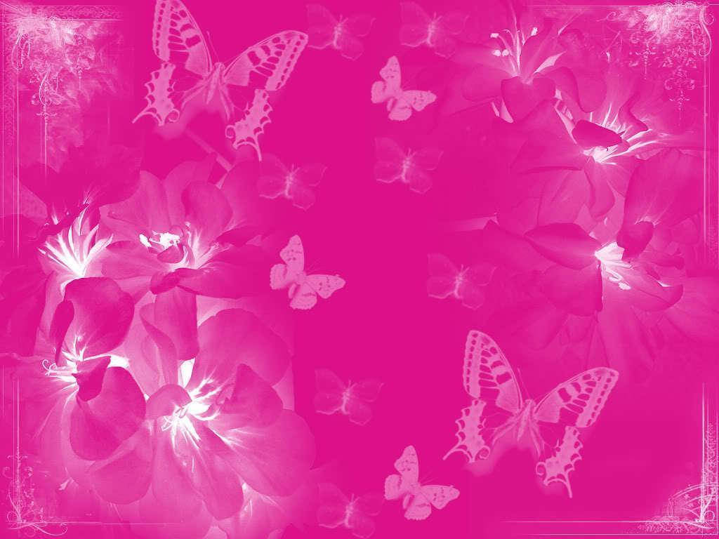 White Butterflies In Pink Plain Color Background