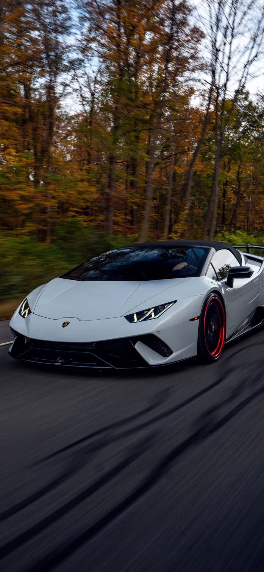 White Car In Woods Lamborghini Phone Background