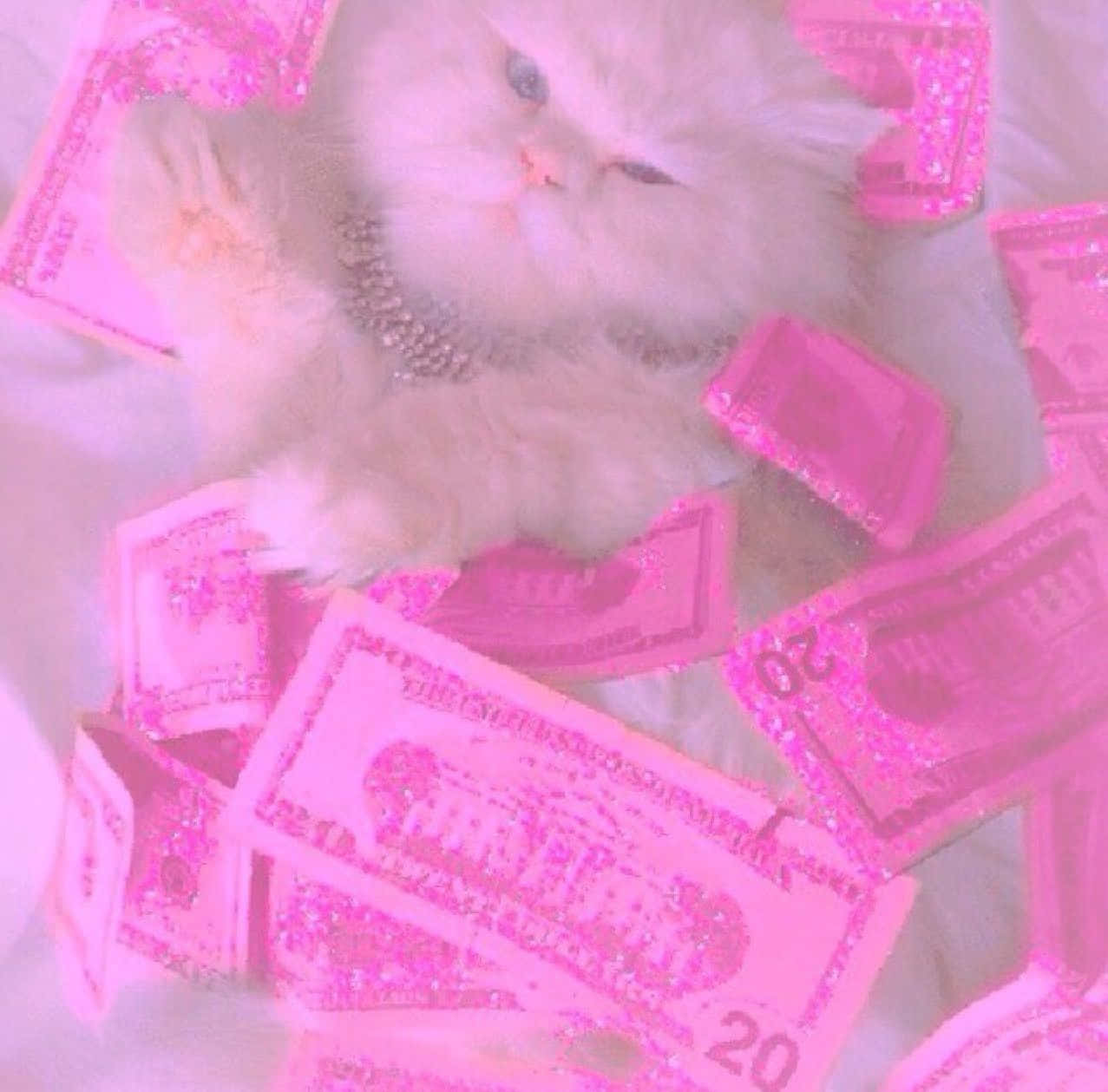 White Cat With Girly Money Background