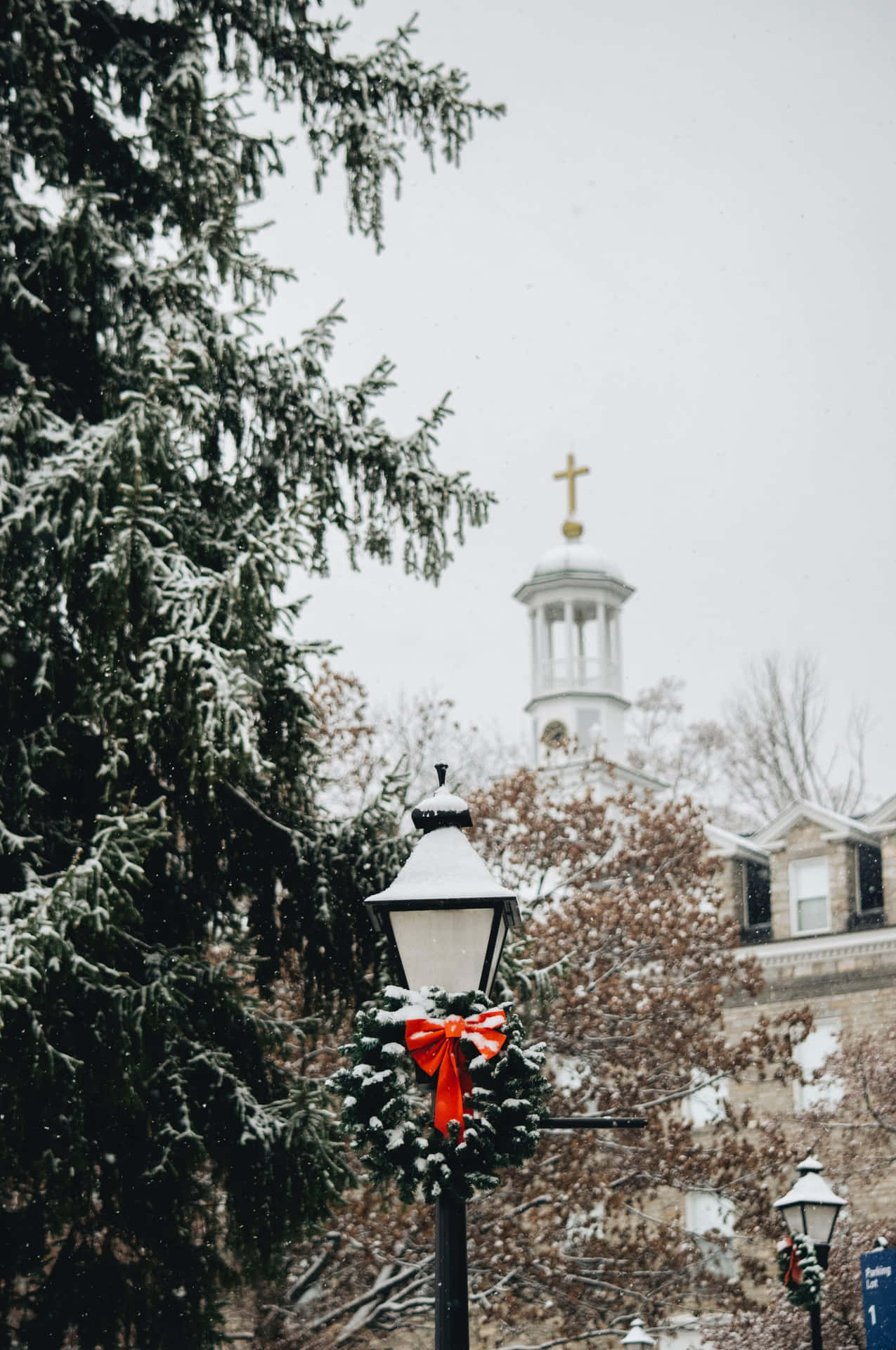 White Christmas Park Iphone Background