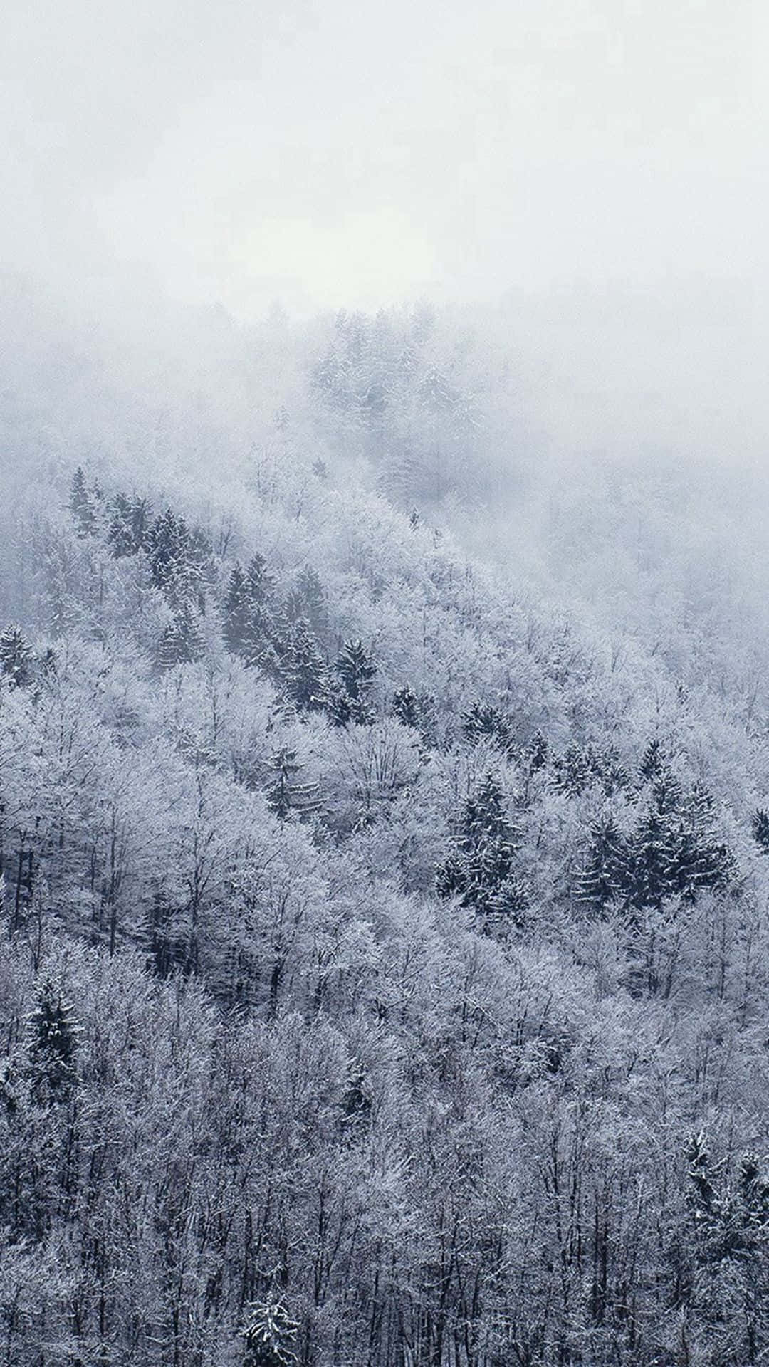 White Christmas Trees Iphone Background