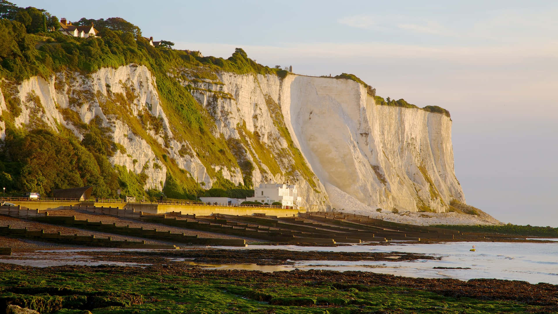 White Cliffs Of Dover With Grass Cover