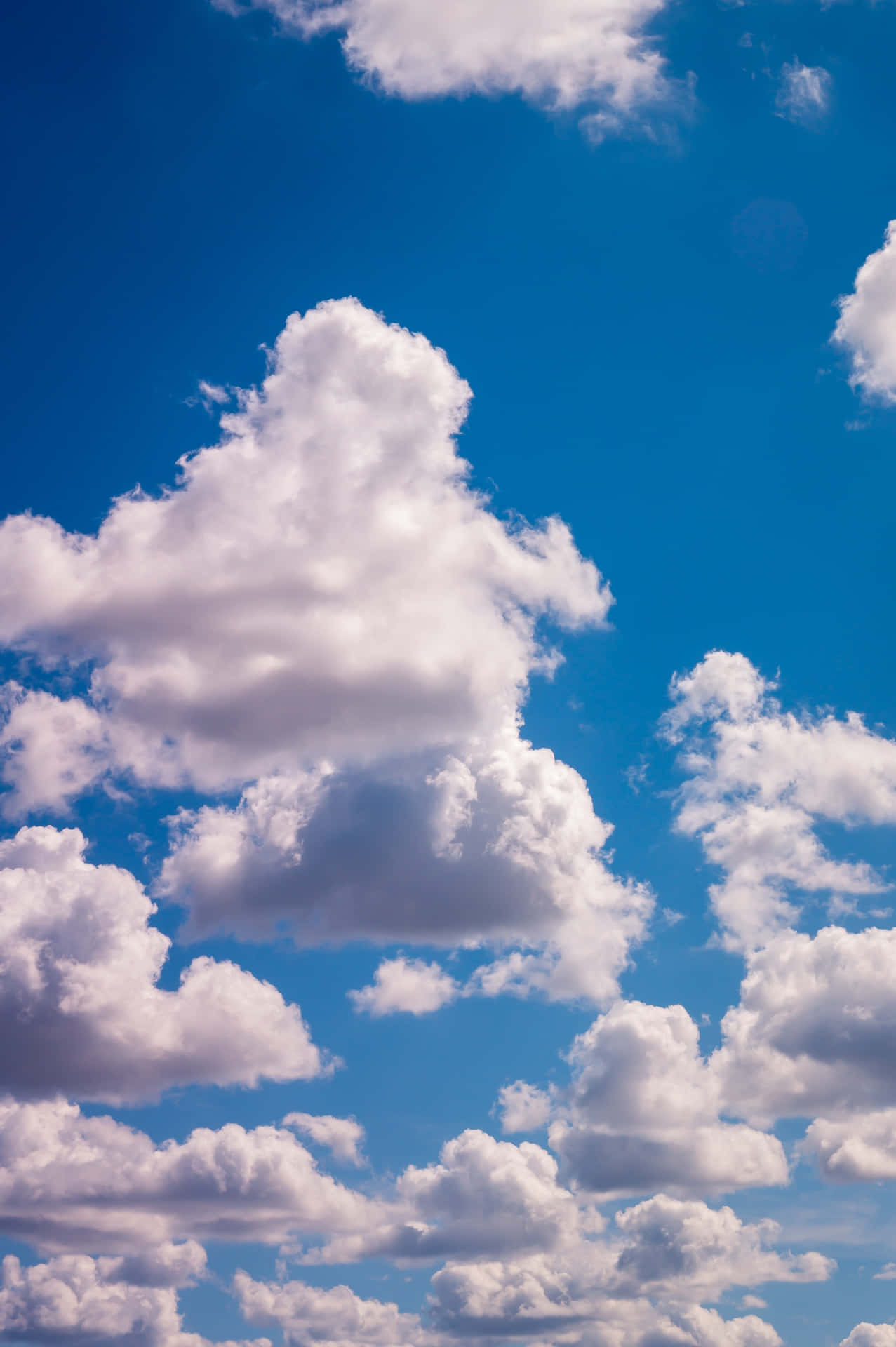 White Clouds Bright Blue Background