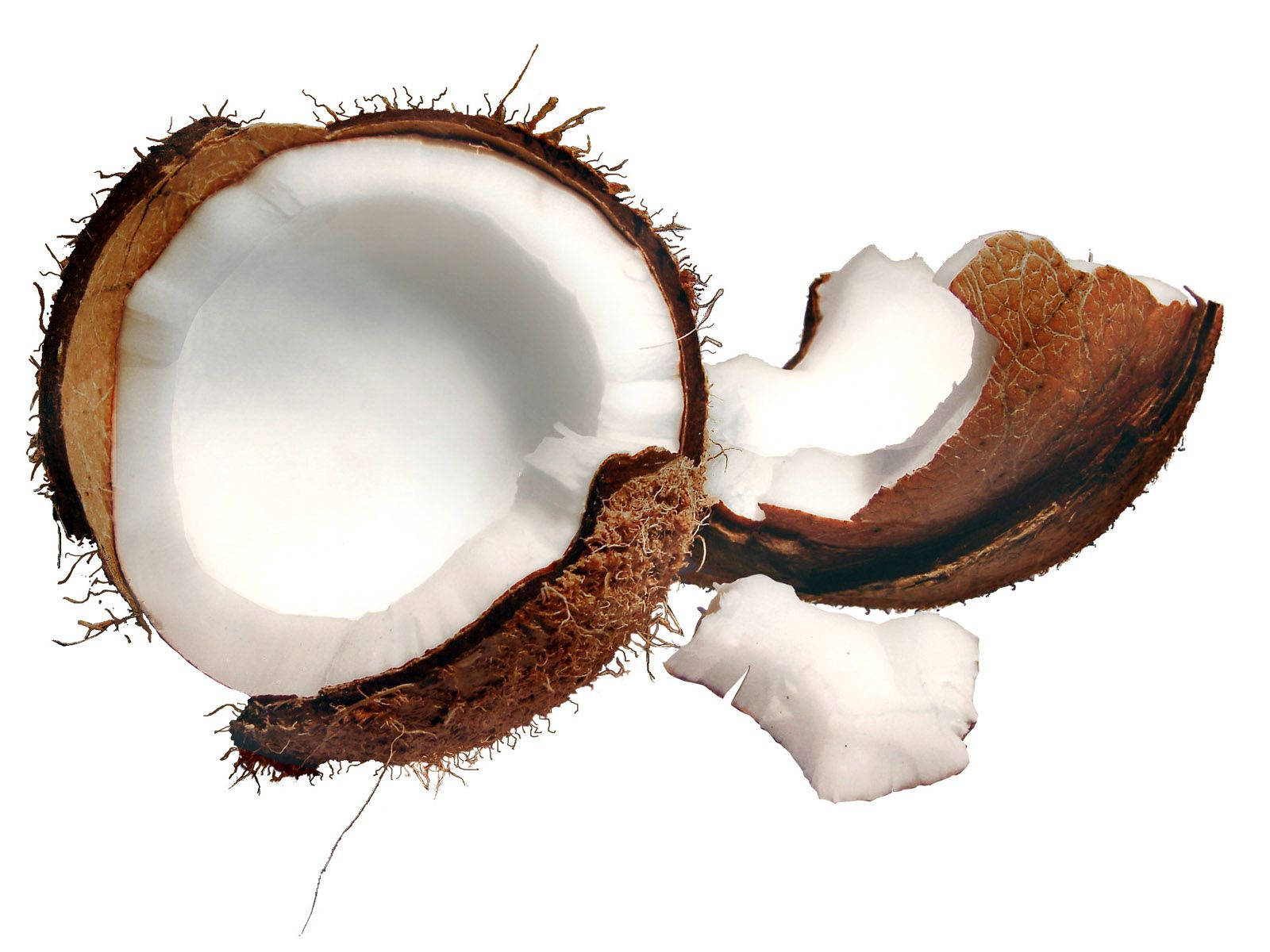 White Coconut Fruit Meat Background