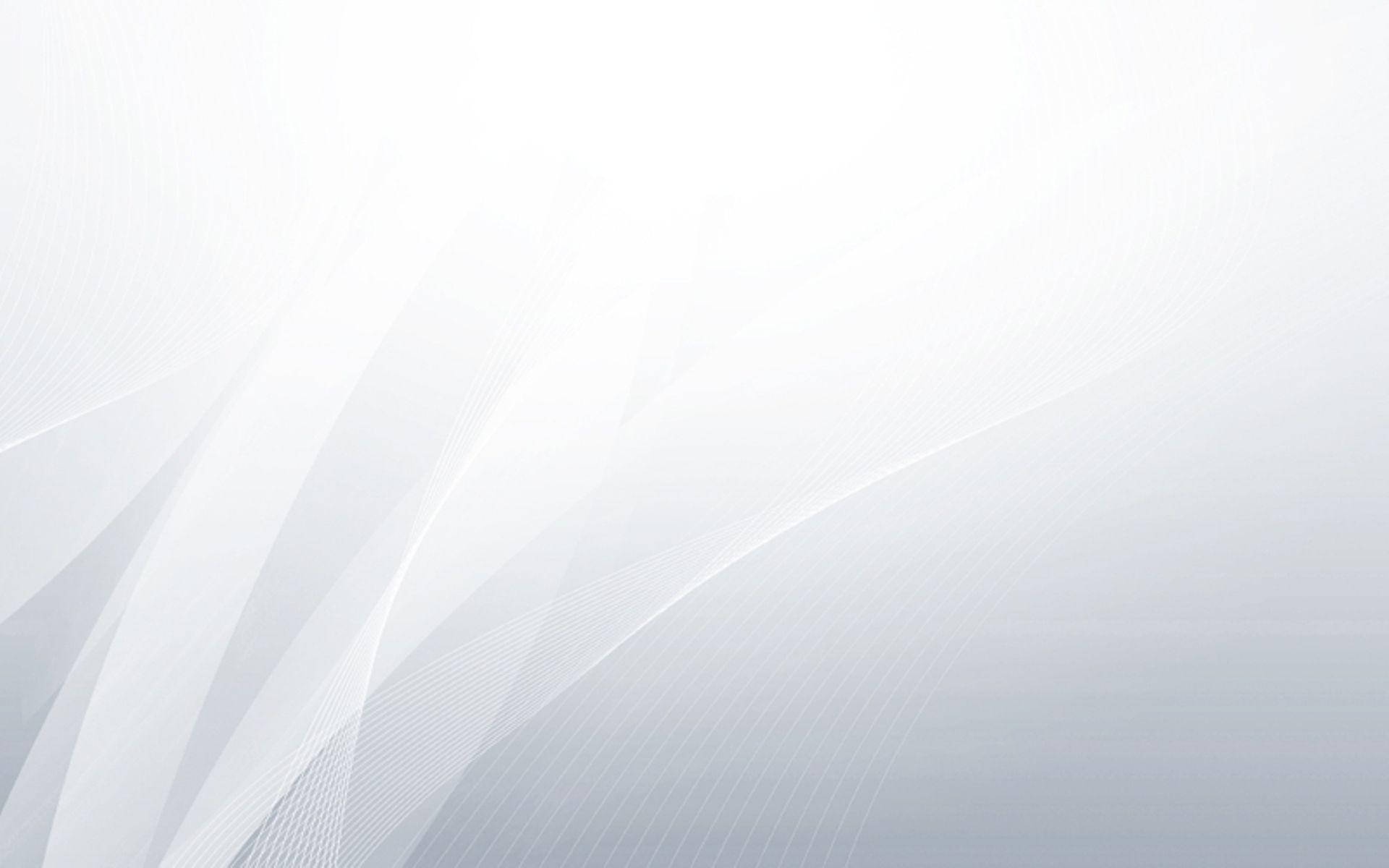 White Color Curved Lines Background