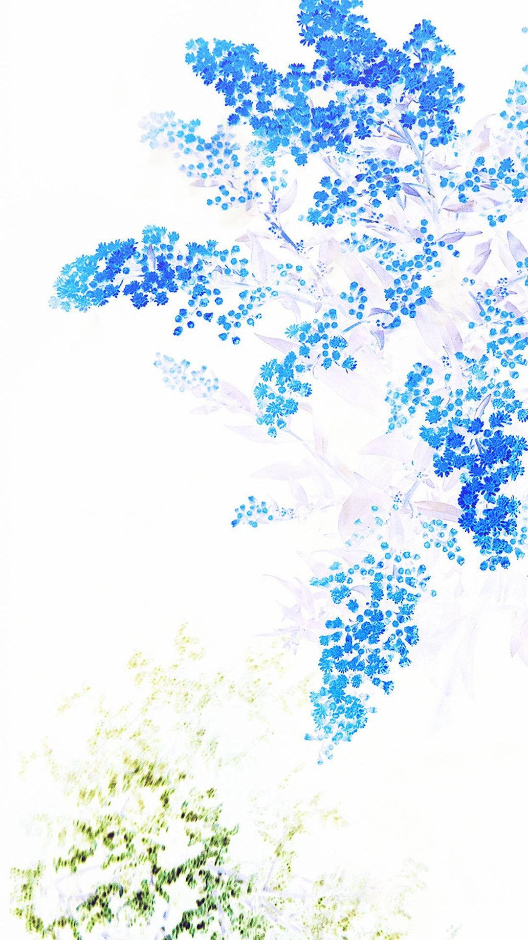 White Color With Blue Flowers Background