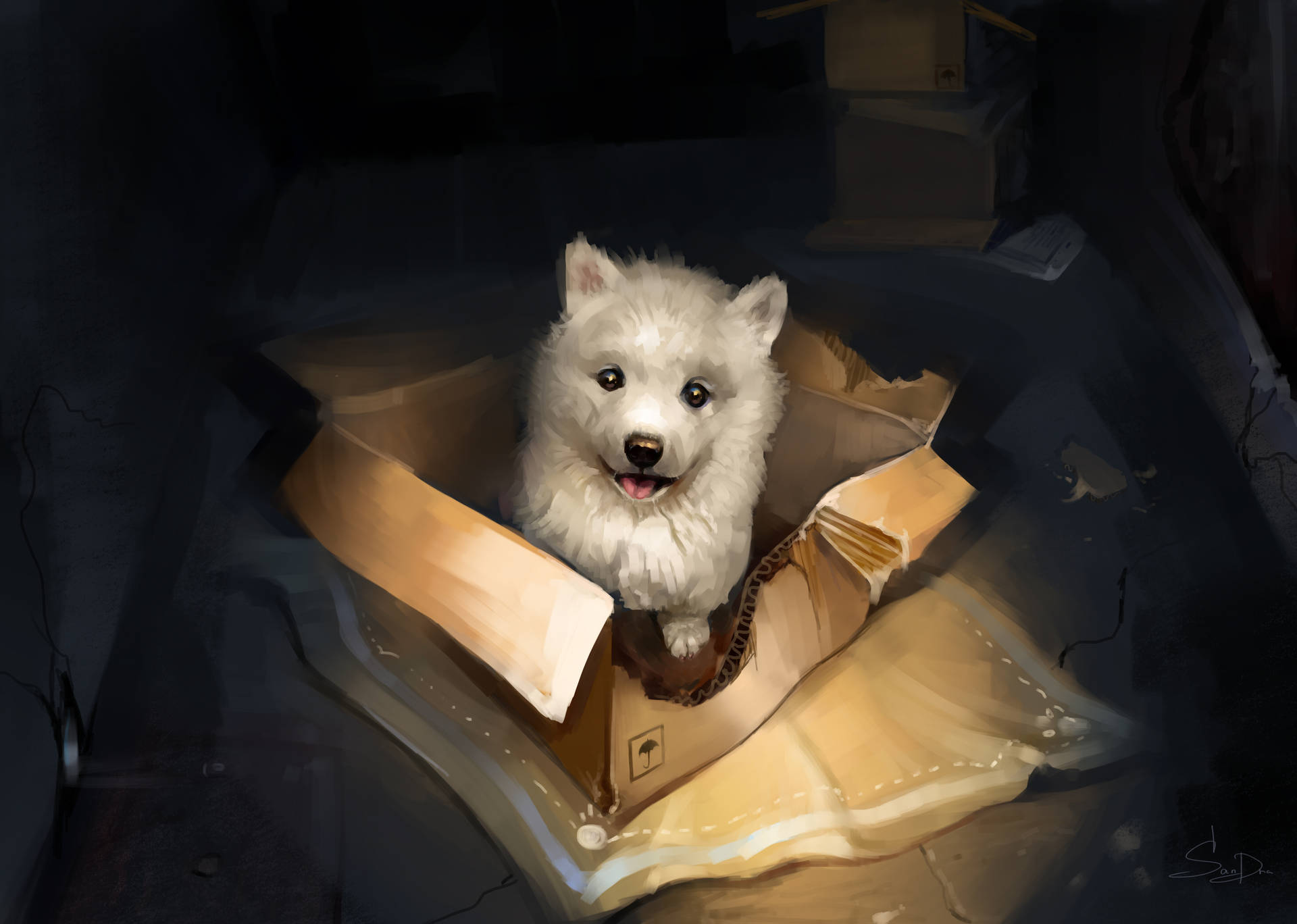 White Cute Puppy In The Box Background