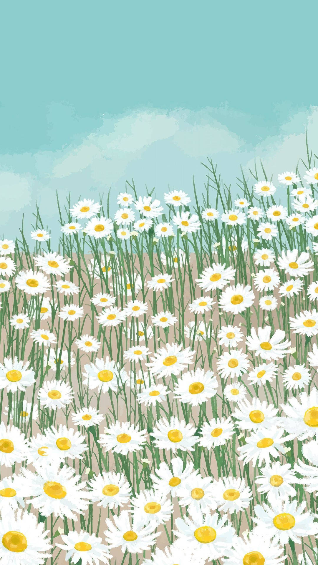 White Daisy Aesthetic Cute Art Background