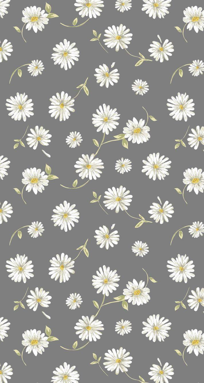 White Daisy Aesthetic Gray