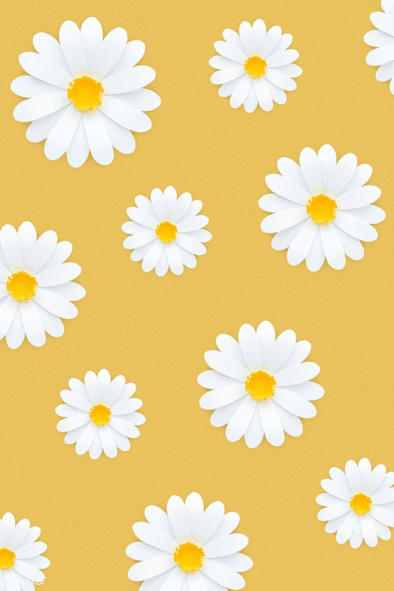 White Daisy Aesthetic In Yellow