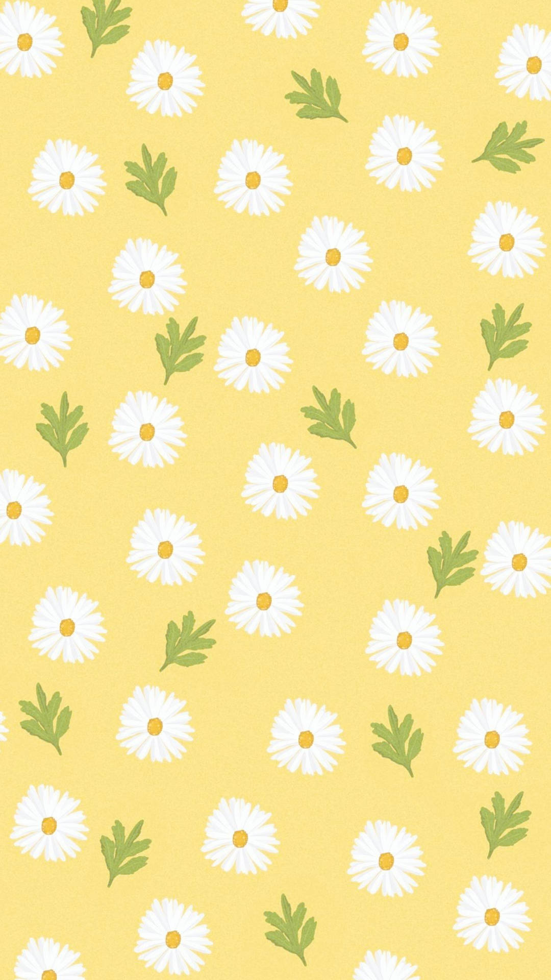 White Daisy Aesthetic Leaves Yellow