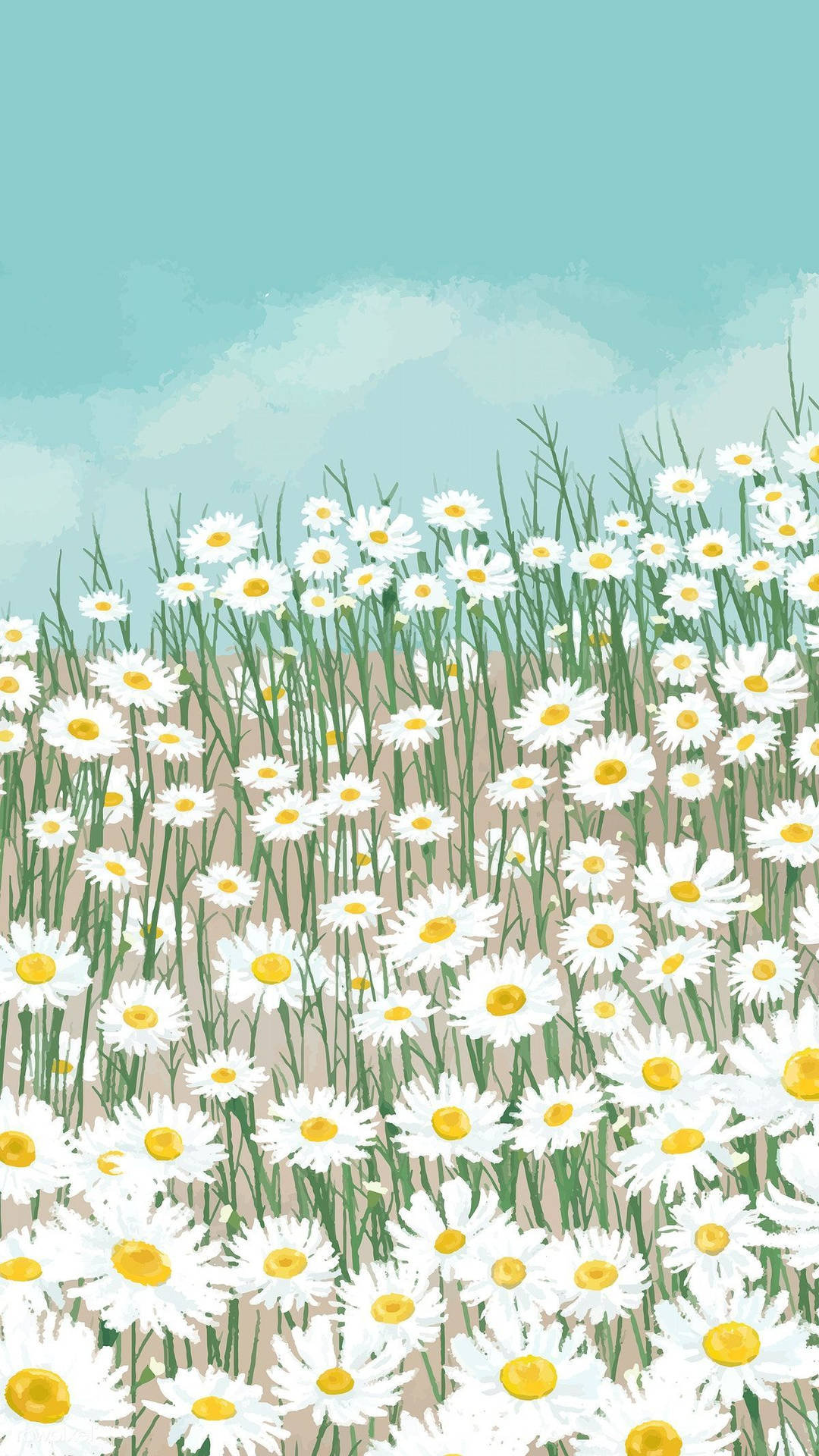 White Daisy Garden Background