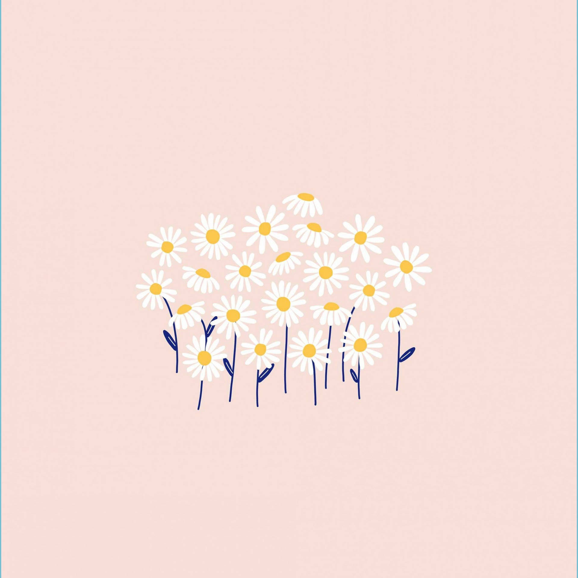 White Daisy On Pink Pastel Background