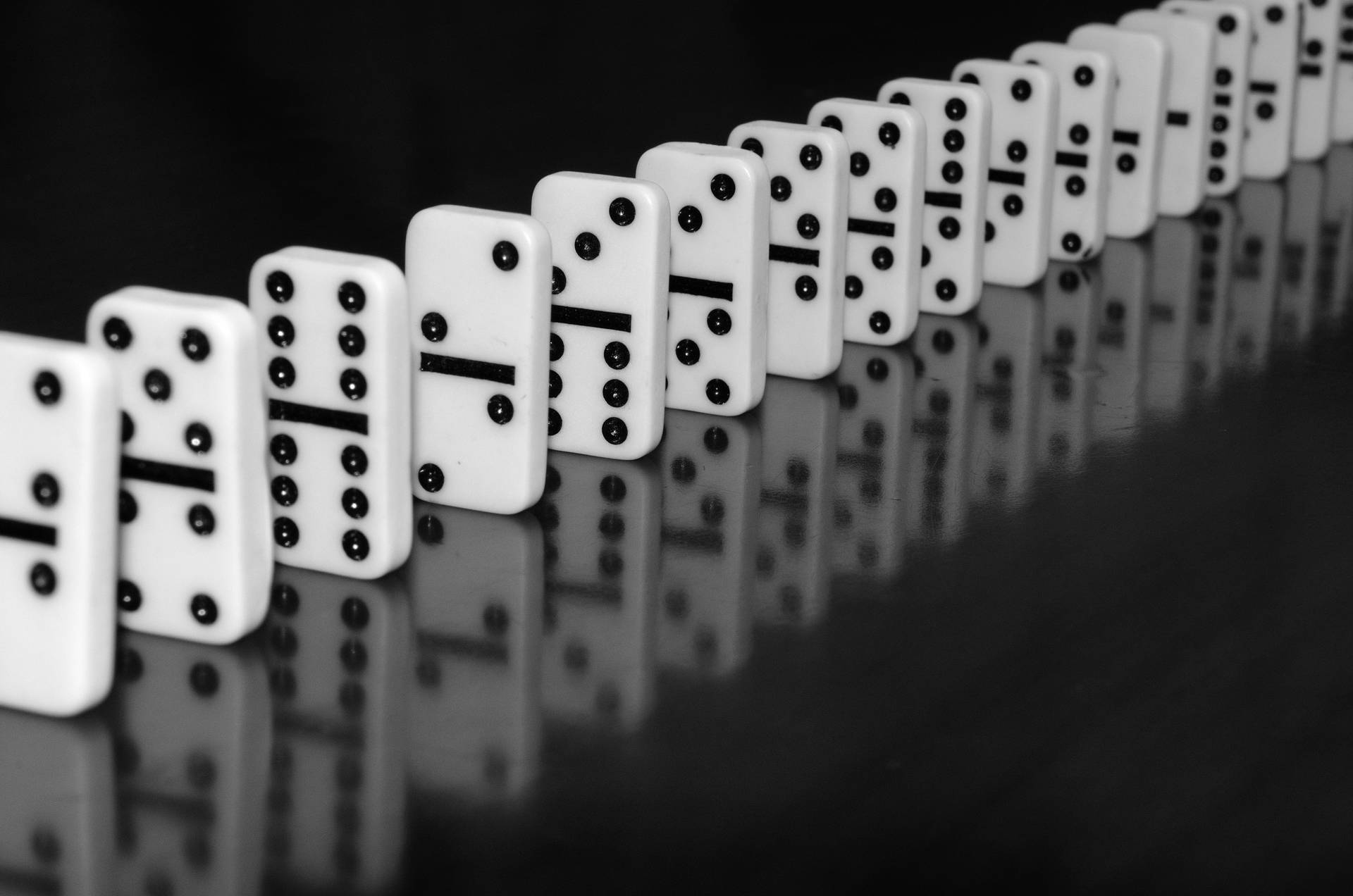 White Domino Reflection