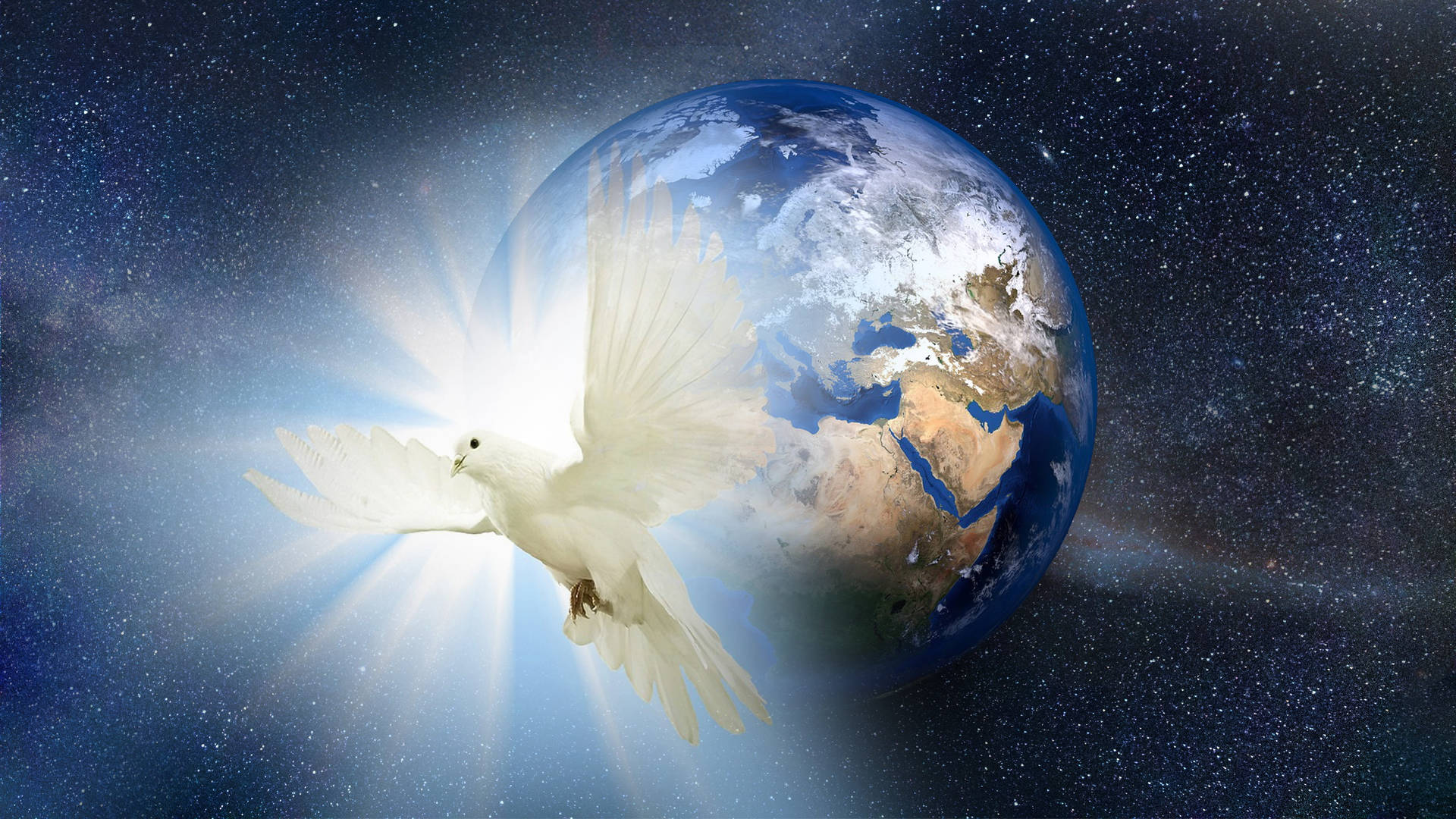 White Dove And Space Background