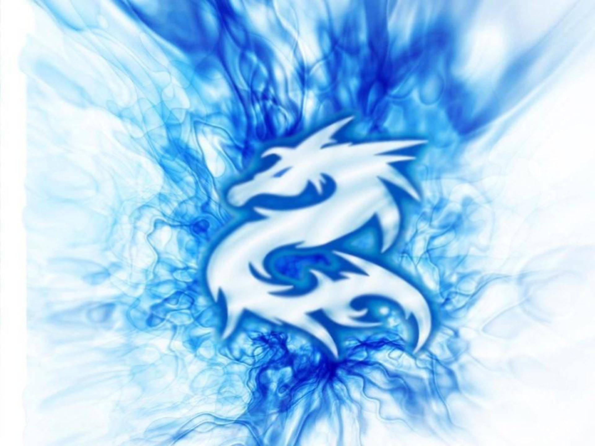 White Dragon Blue Flames Background