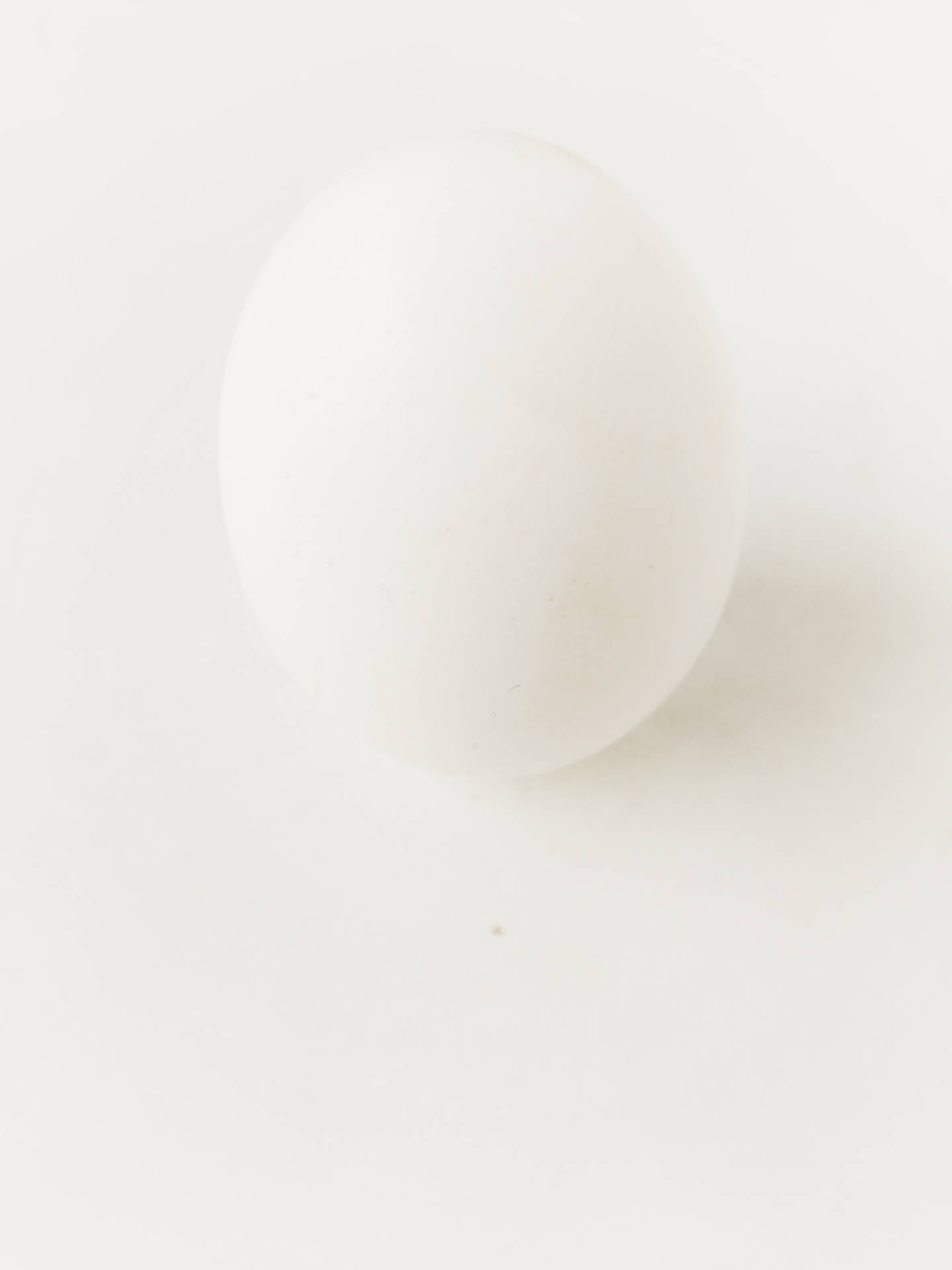 White Egg Background