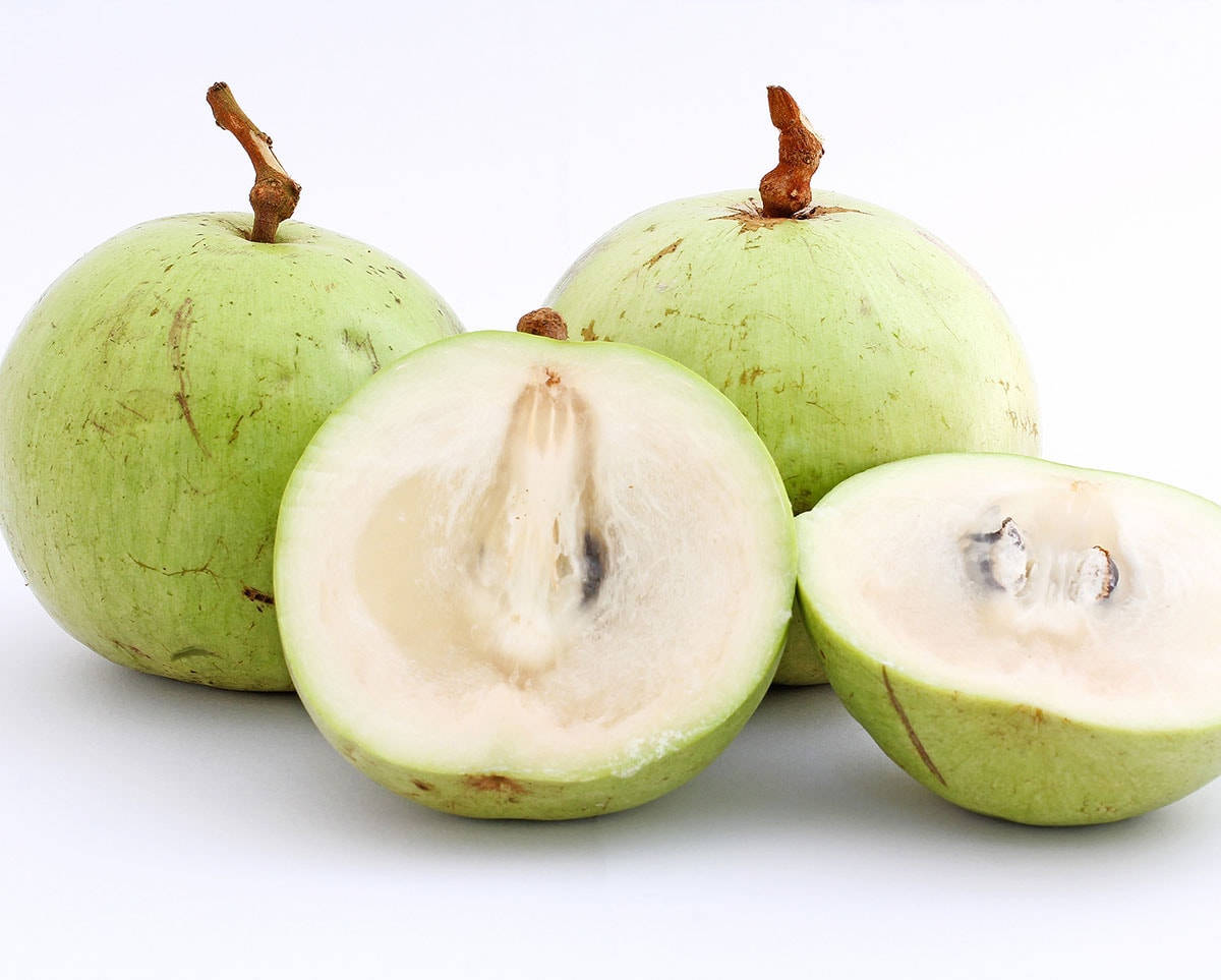 White Flesh Green Star Apple