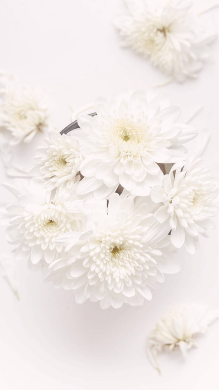 White Flower Bouquet For Iphone Background