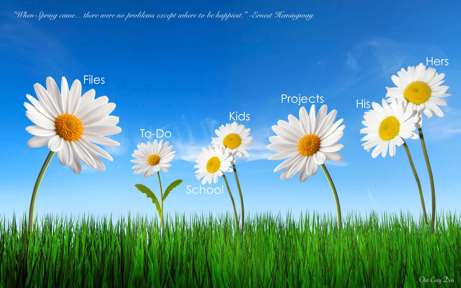 White Flower Desktop Organizer Background