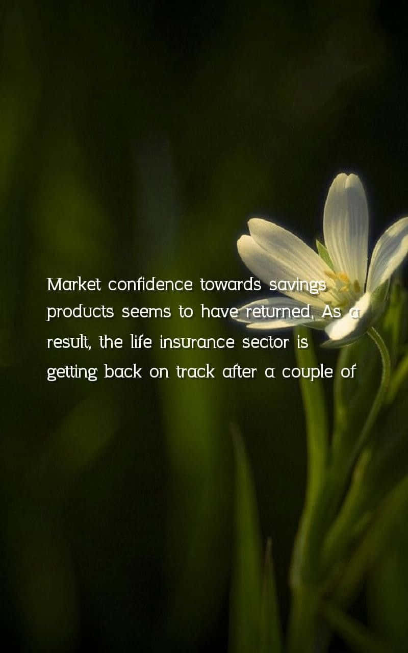 White Flower Market Confidence Quote Background