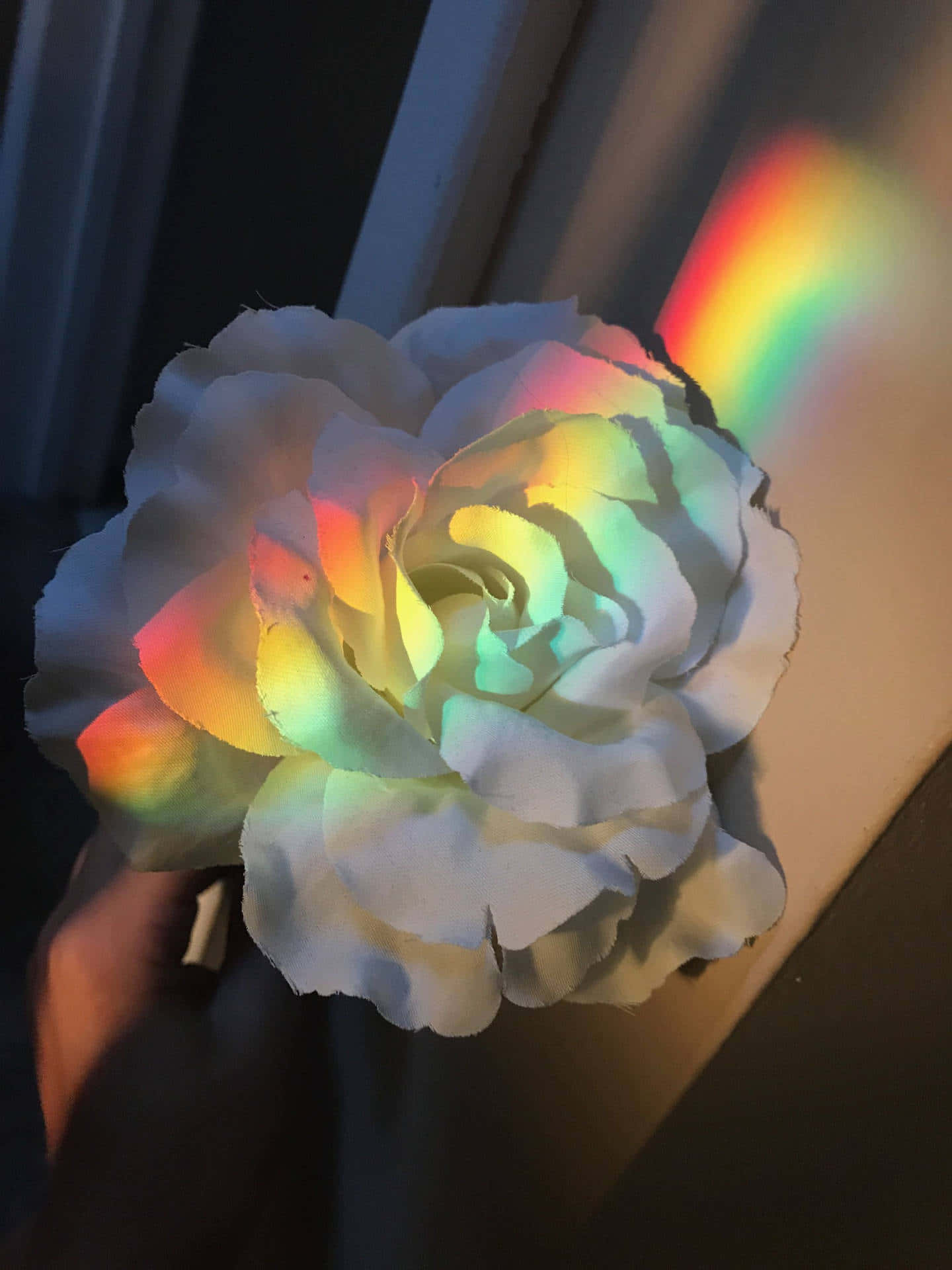 White Flower With An Aesthetic Rainbow Mobile Background