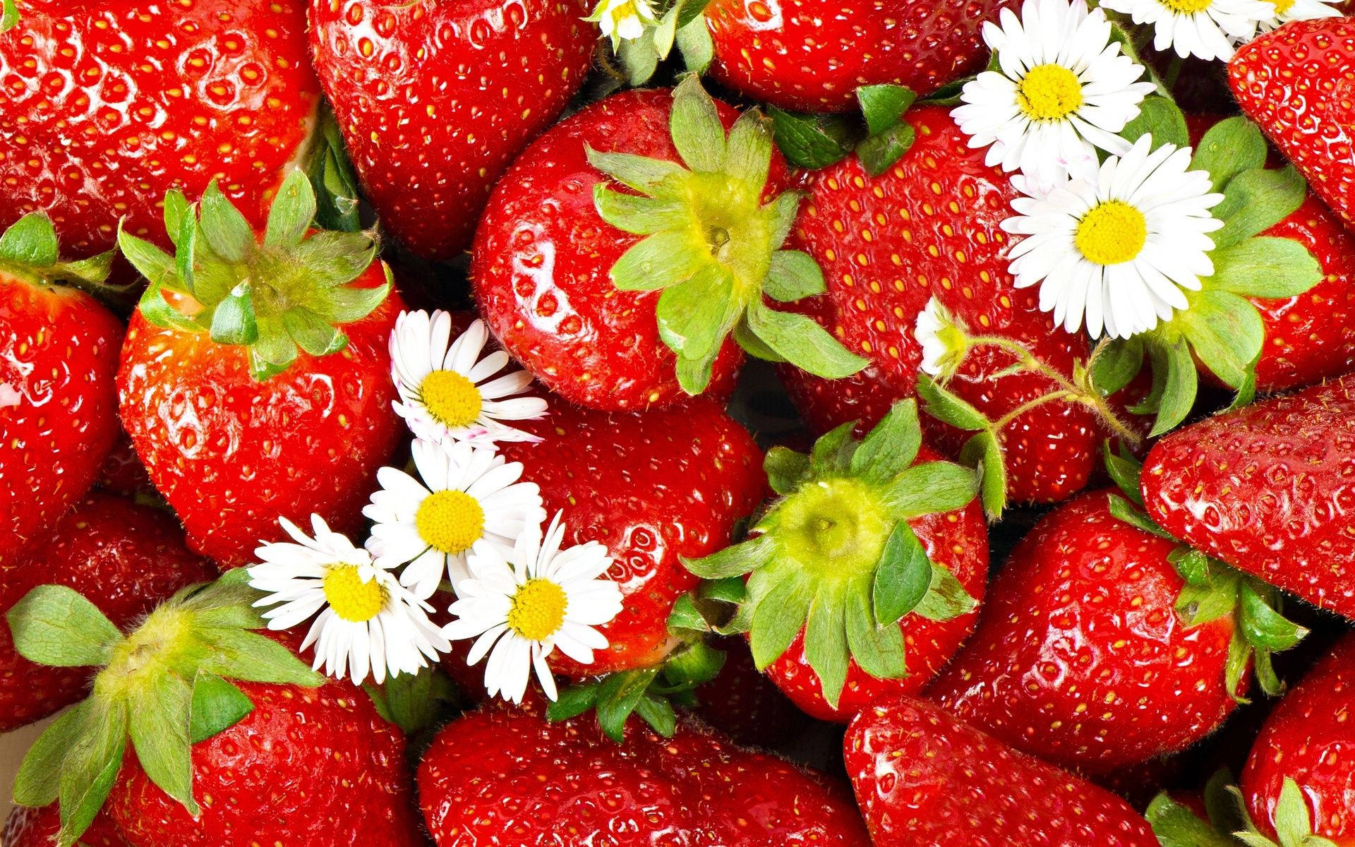 White Flowers And Strawberries Background