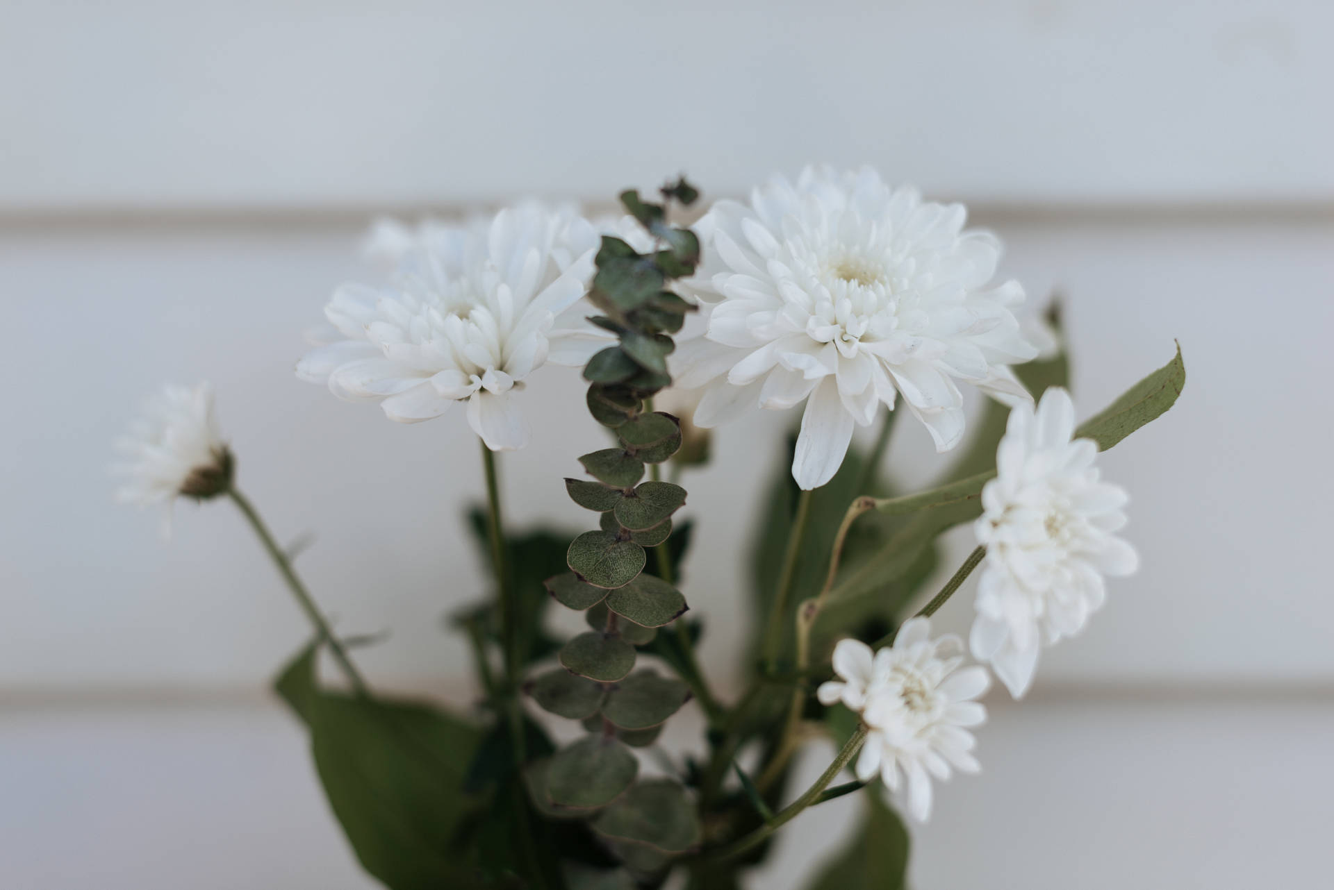 White Flowers For Mothers Day Background