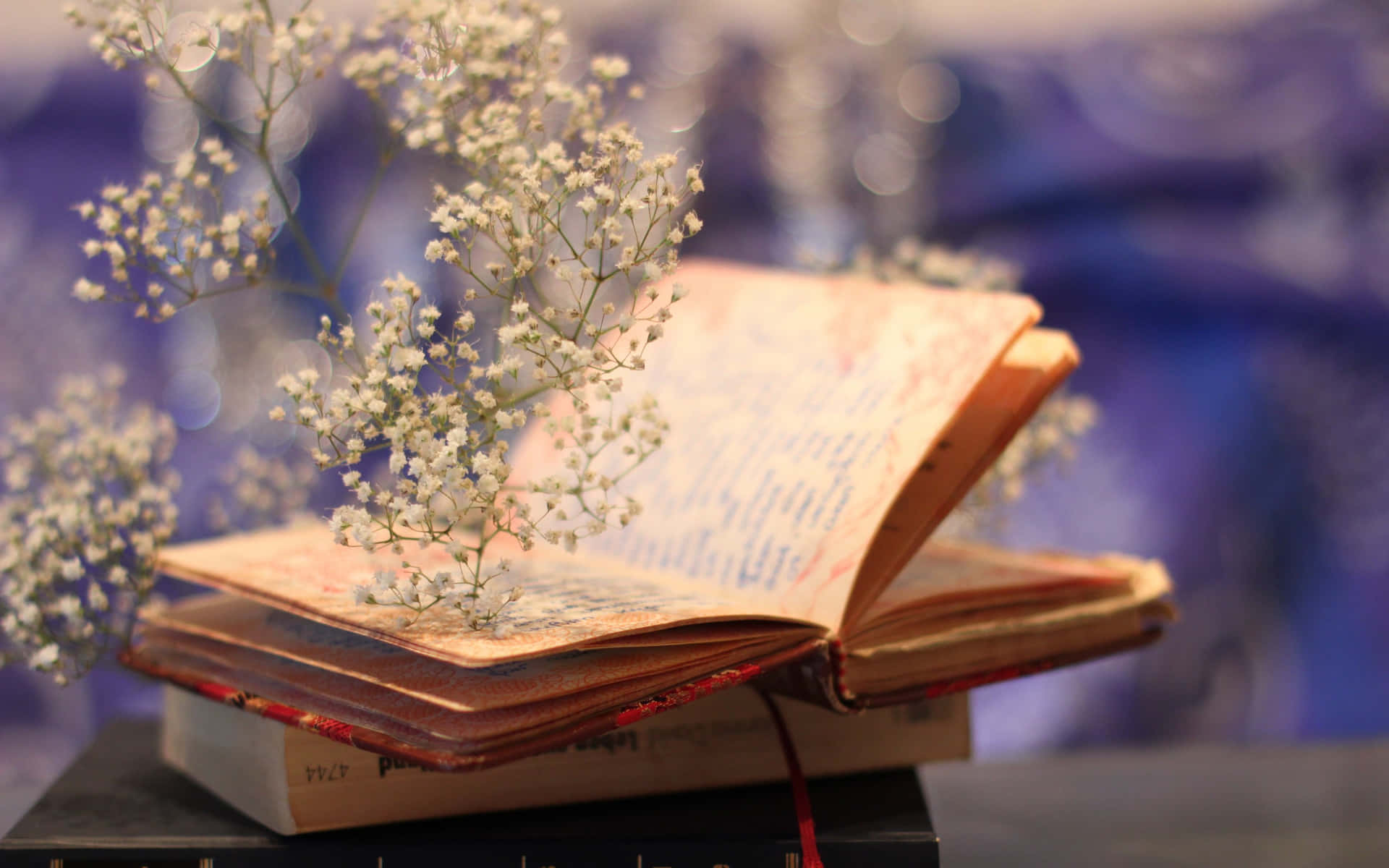 White Flowers On Novel