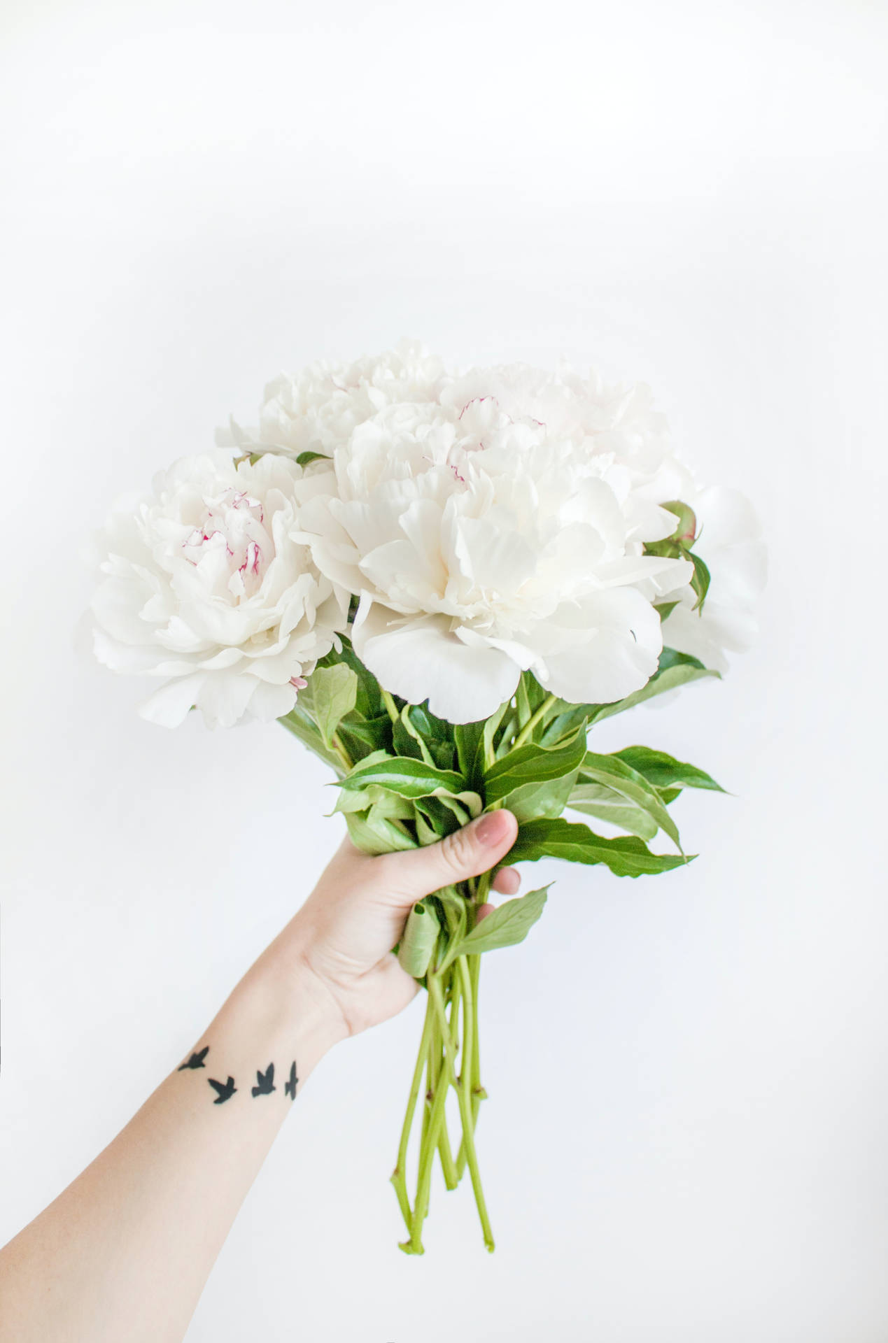 White Flowers Tattooed Arm Background