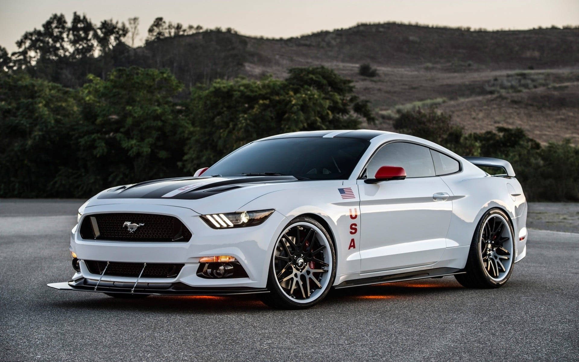 White Ford Gt Mustang
