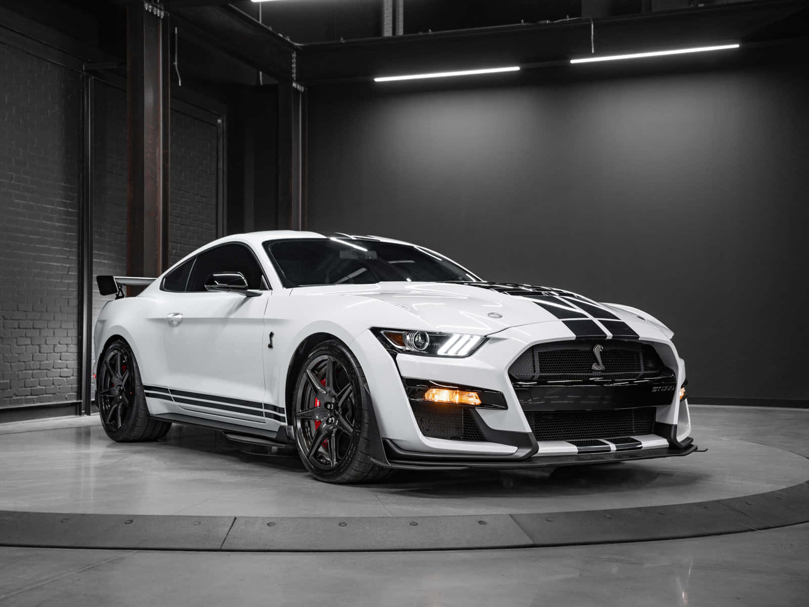 White Ford Mustang Shelby G T500 Showroom Background