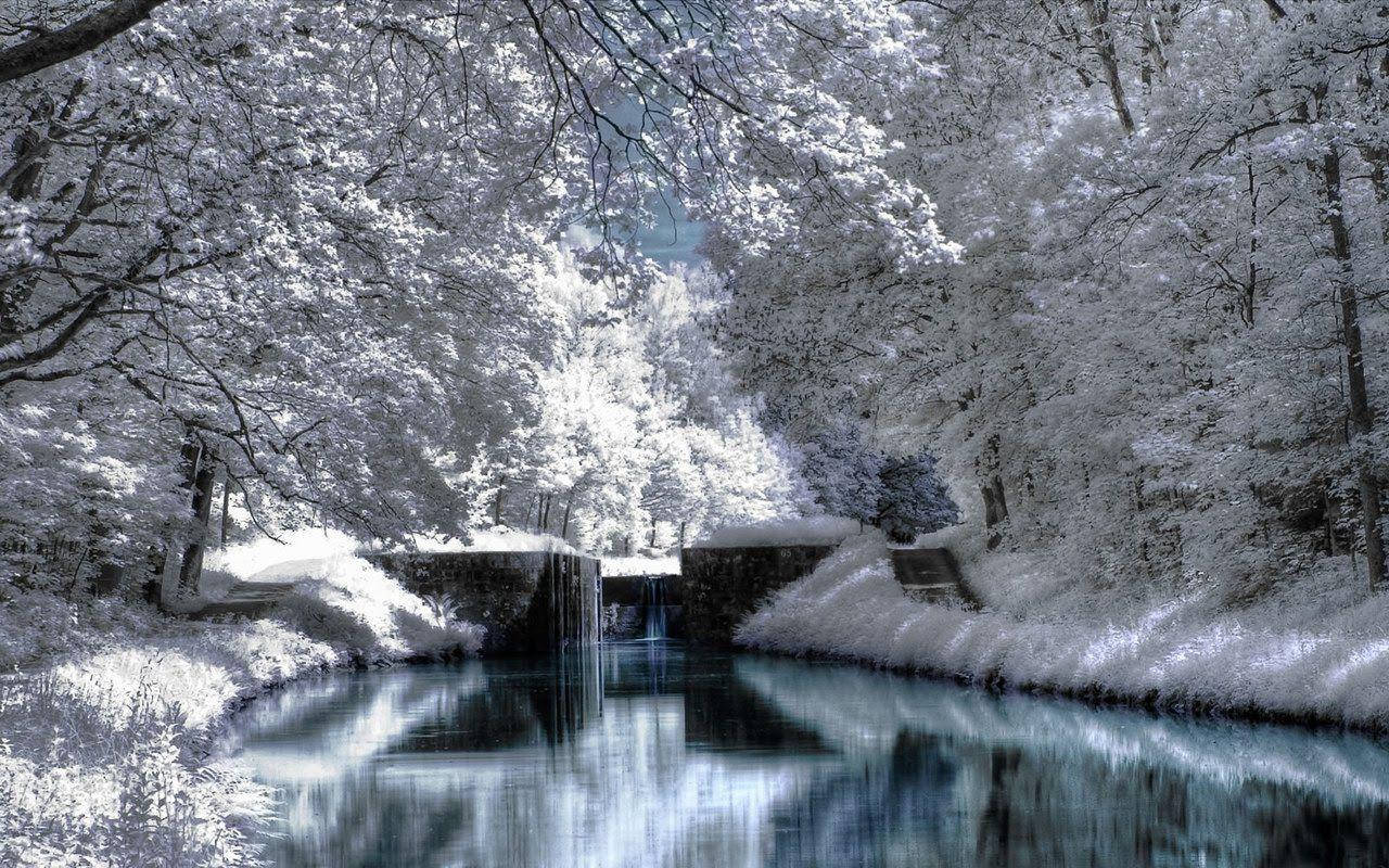 White Forest And River Winter Scenery Background