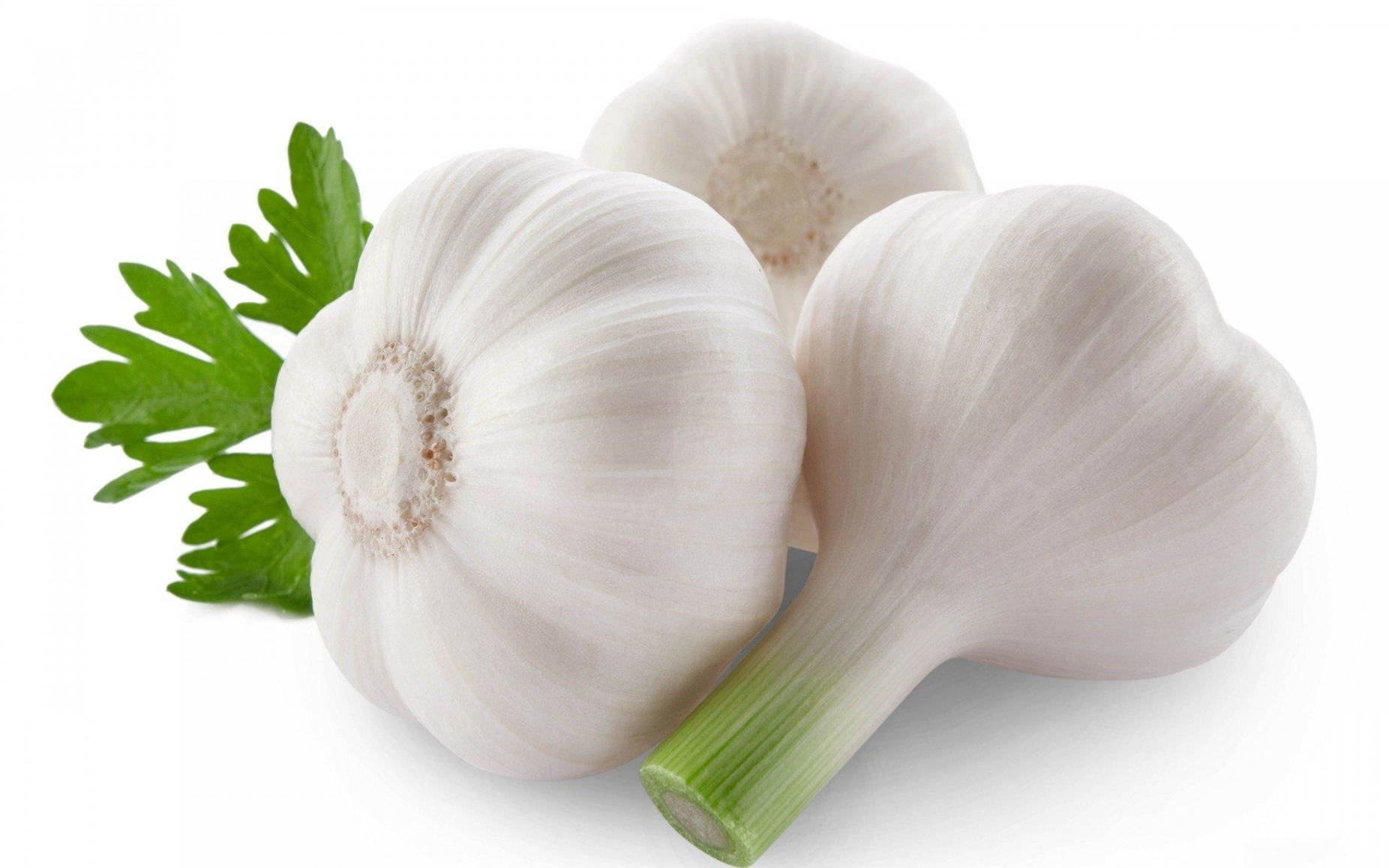 White Garlic Vegetable Herb With Parsley Background